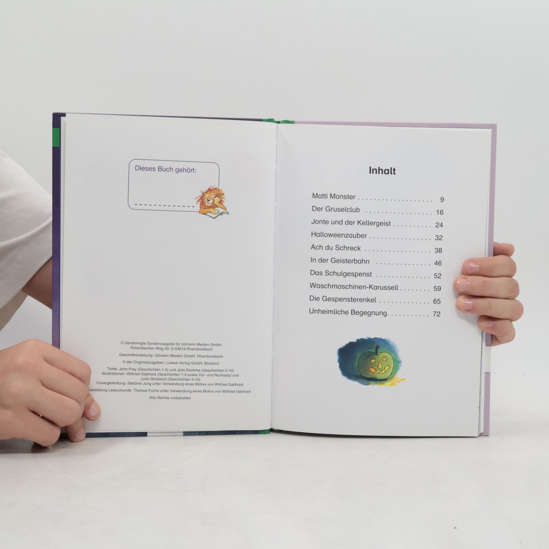 Various authors Leselöwen. Gruselgeschichten