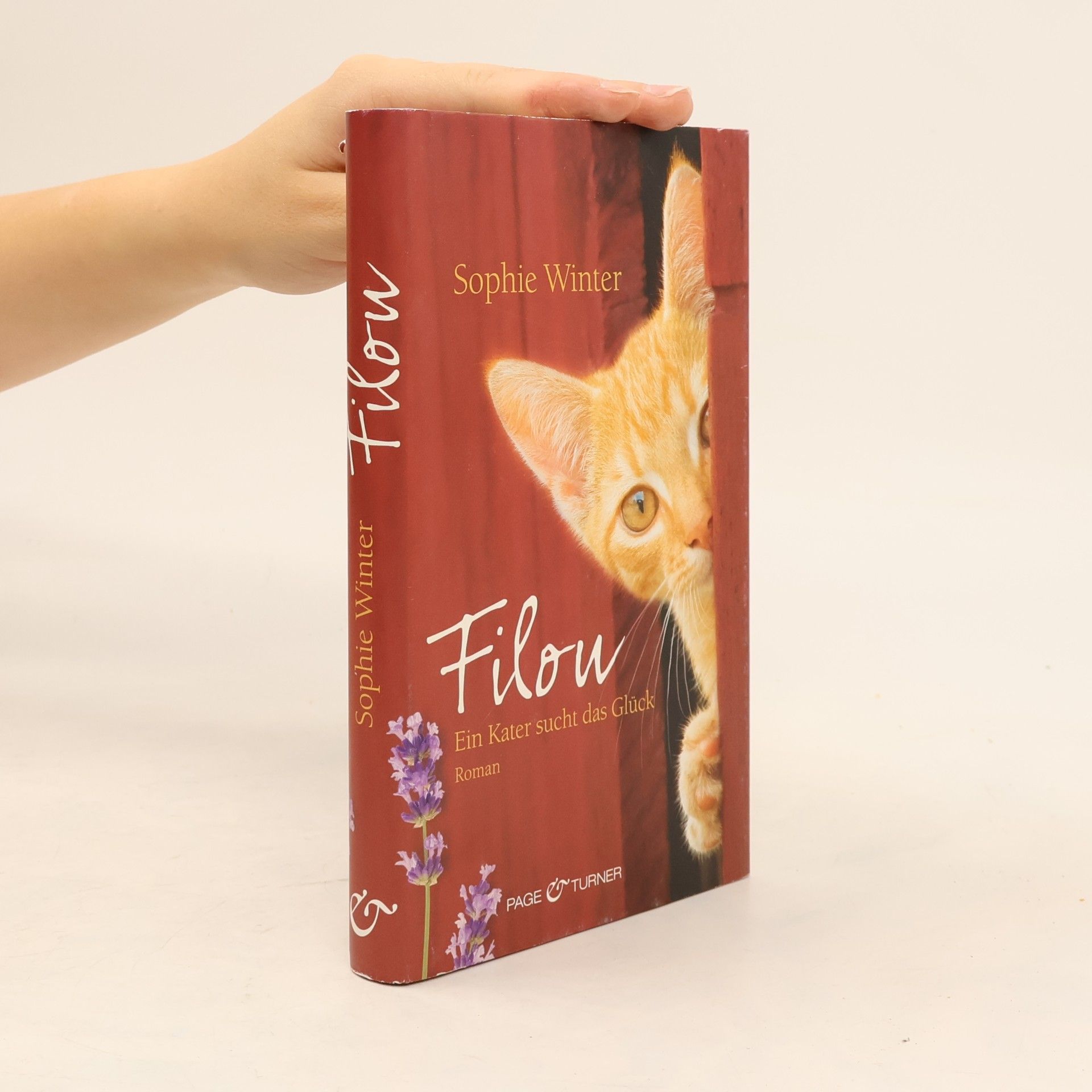 Sophie Winter Filou - ein Kater sucht das Glück