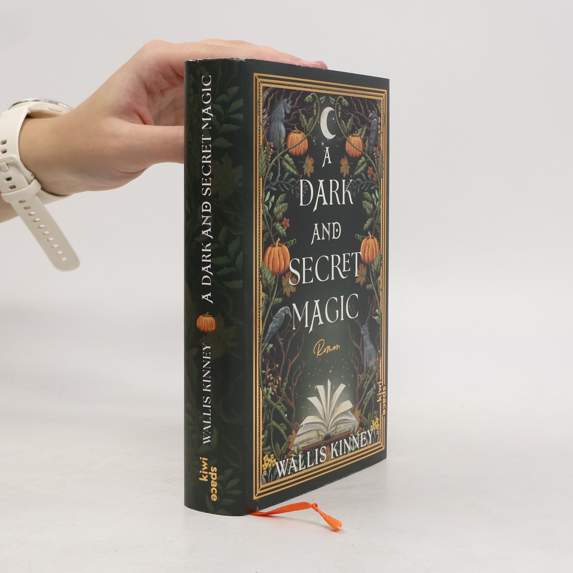 Wallis Kinney A Dark and Secret Magic
