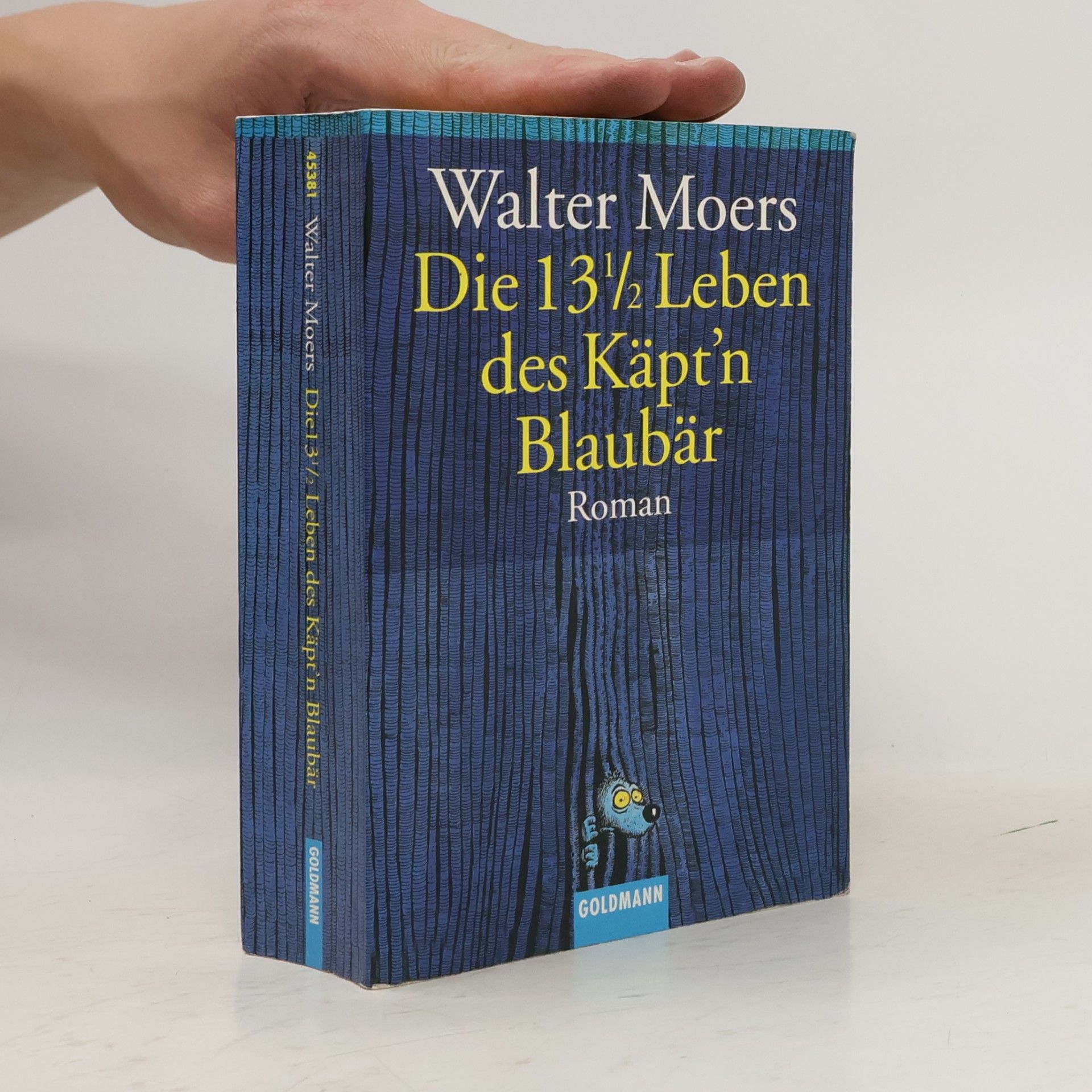 Walter Moers Die 13 1/2 Leben des Käpt'n Blaubär