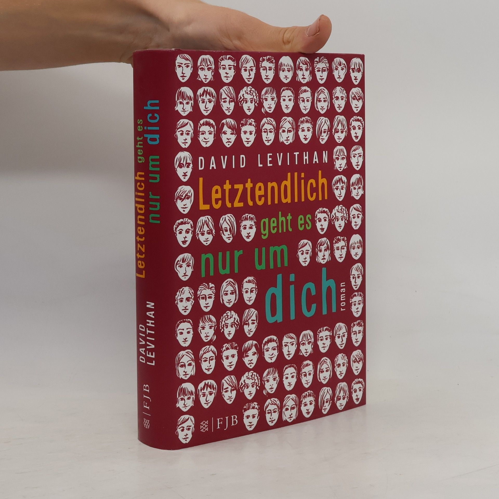 David Levithan Letztendlich geht es nur um dich