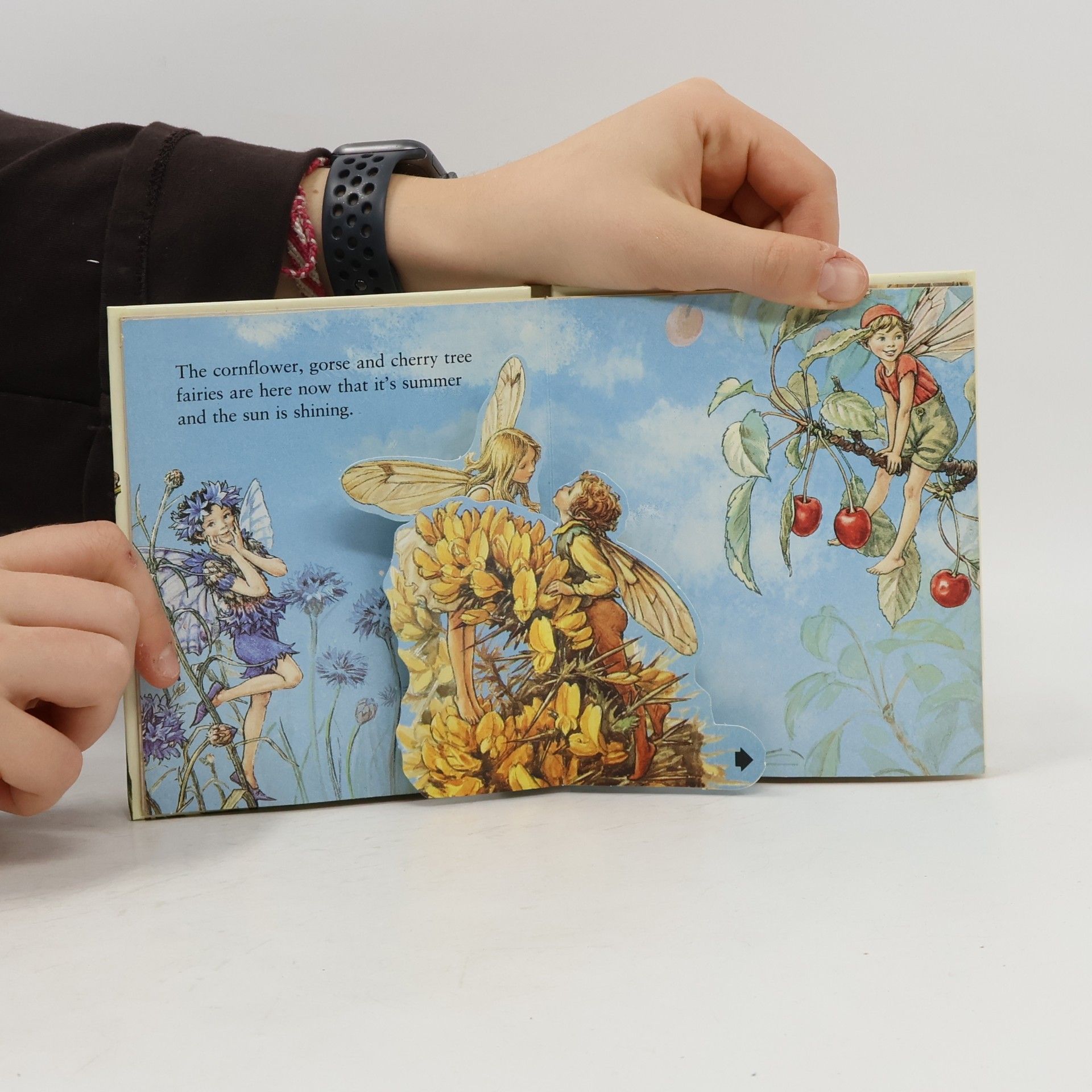 Cicely Mary Barker Flower Fairies Little Pop-Up Books: Fairy Magic Pop-Up