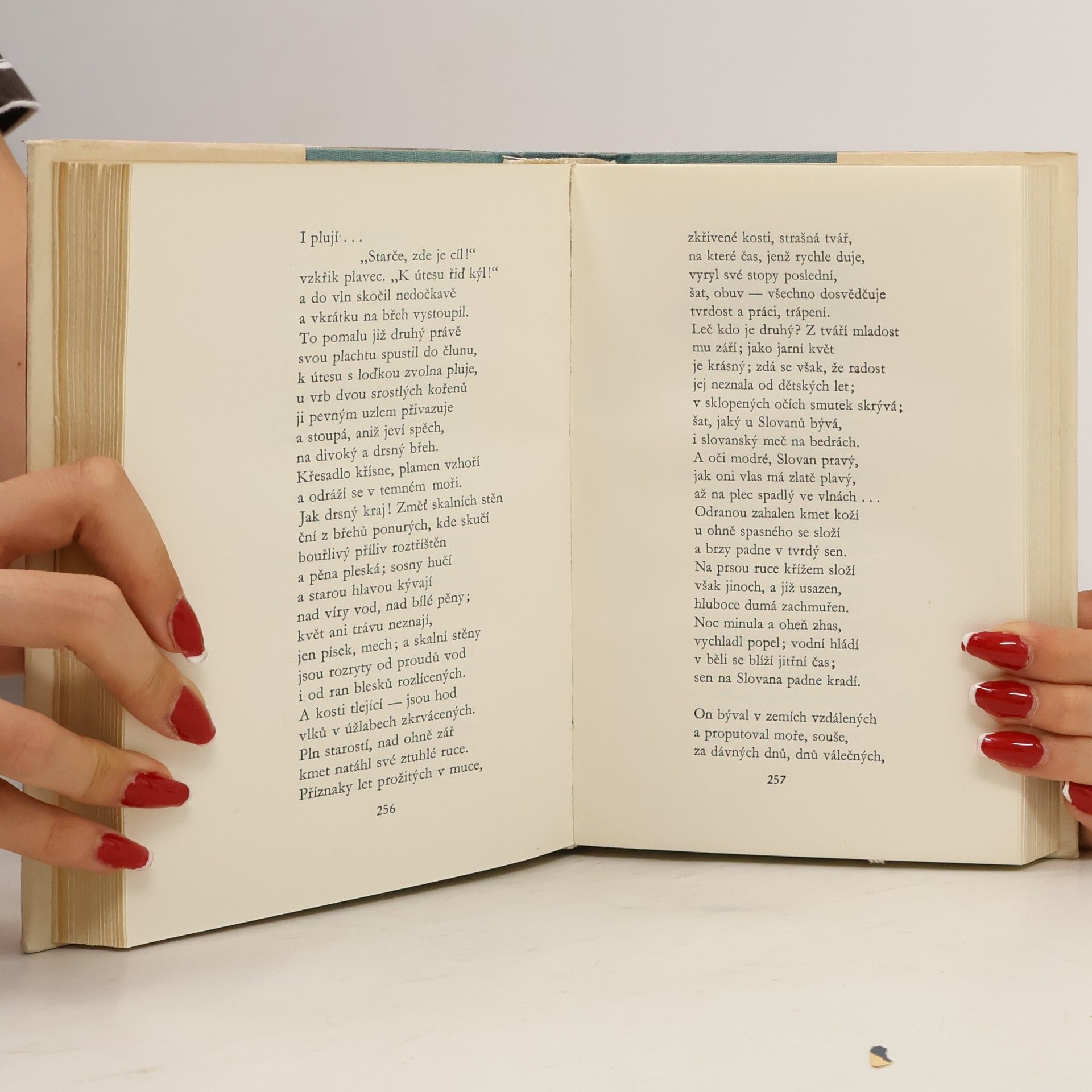 Alexander Pushkin Pohádky a poemy