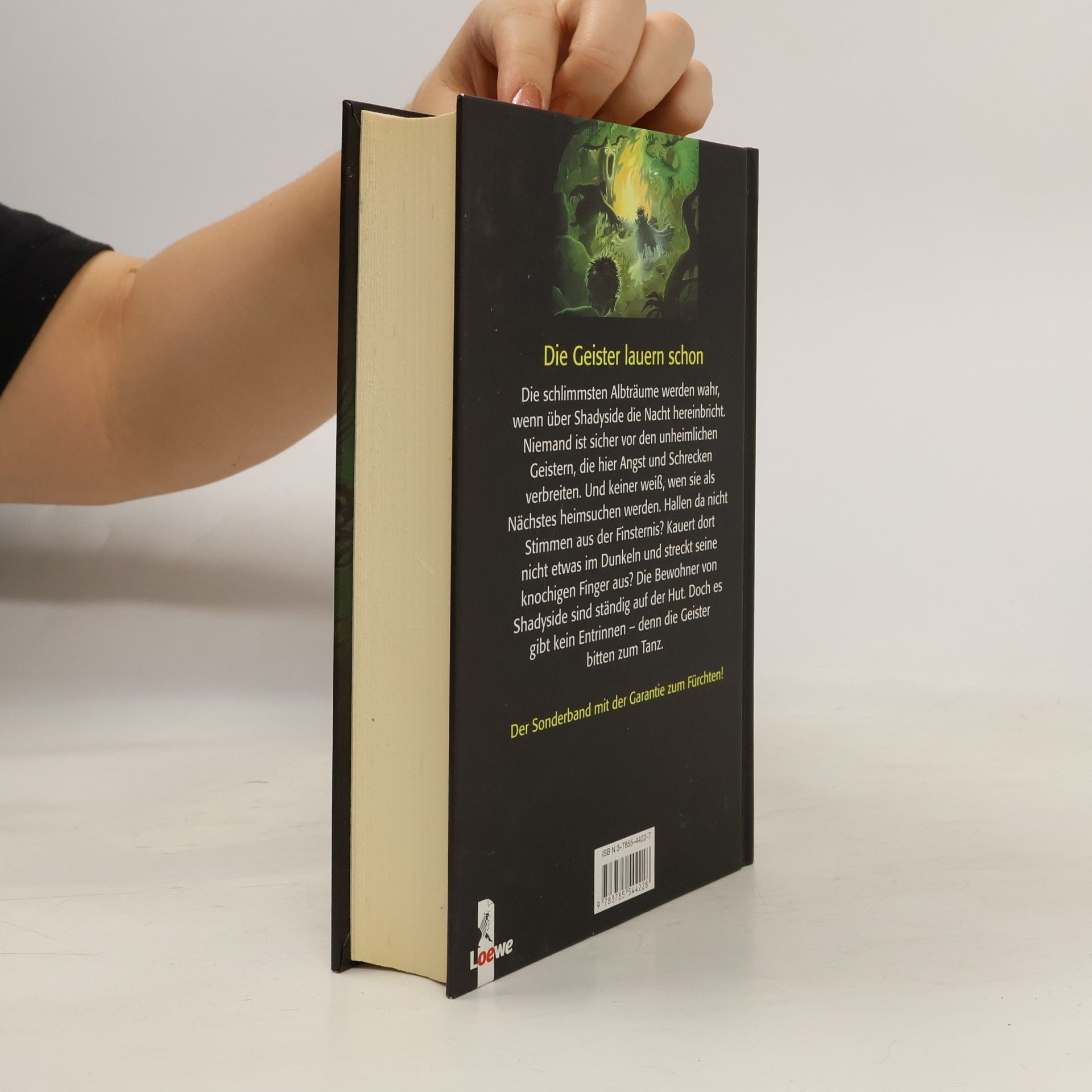 R. L. Stine Fear Street Geisterstunde. Tanz der Geister