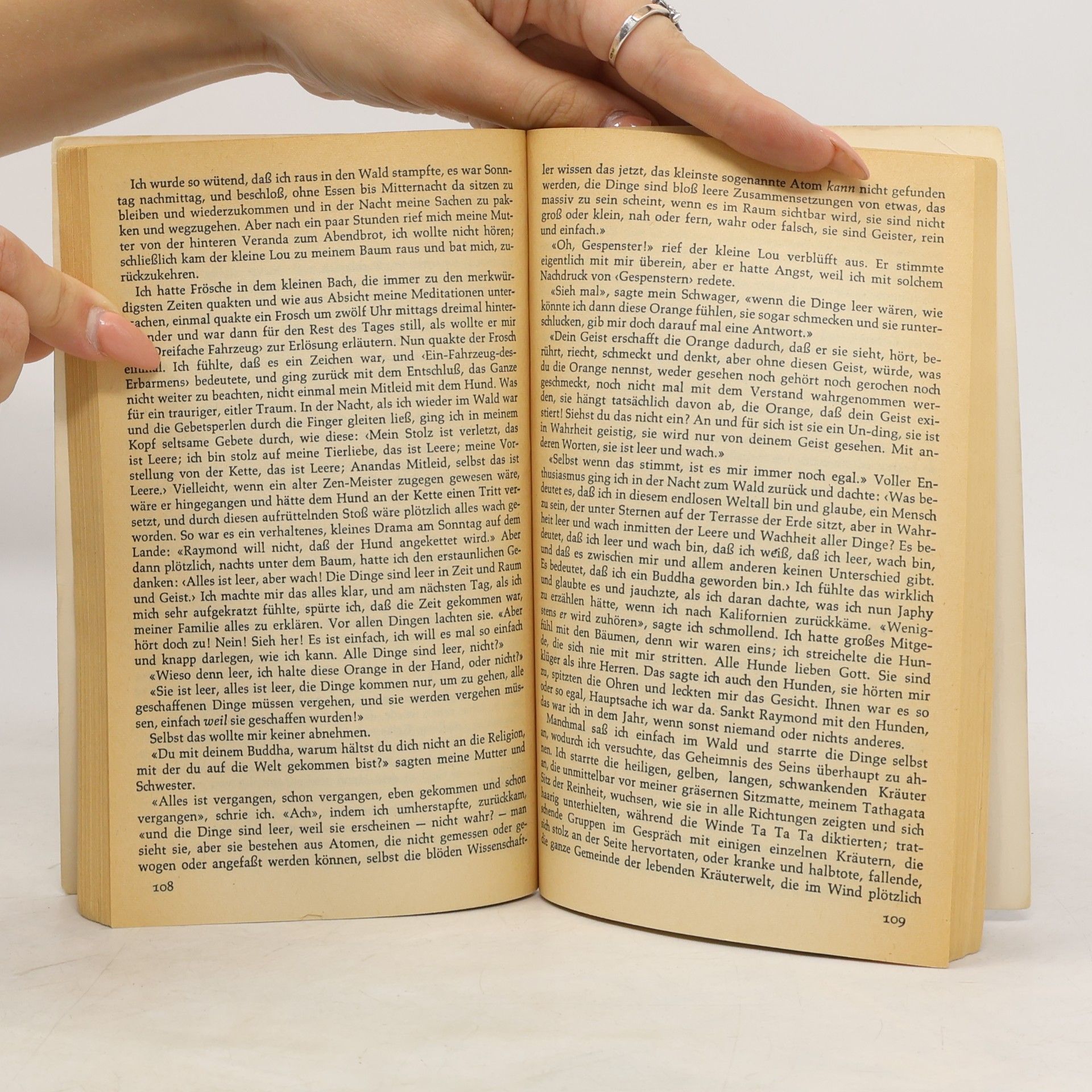 Jack Kerouac Gammler, Zen und hohe Berge