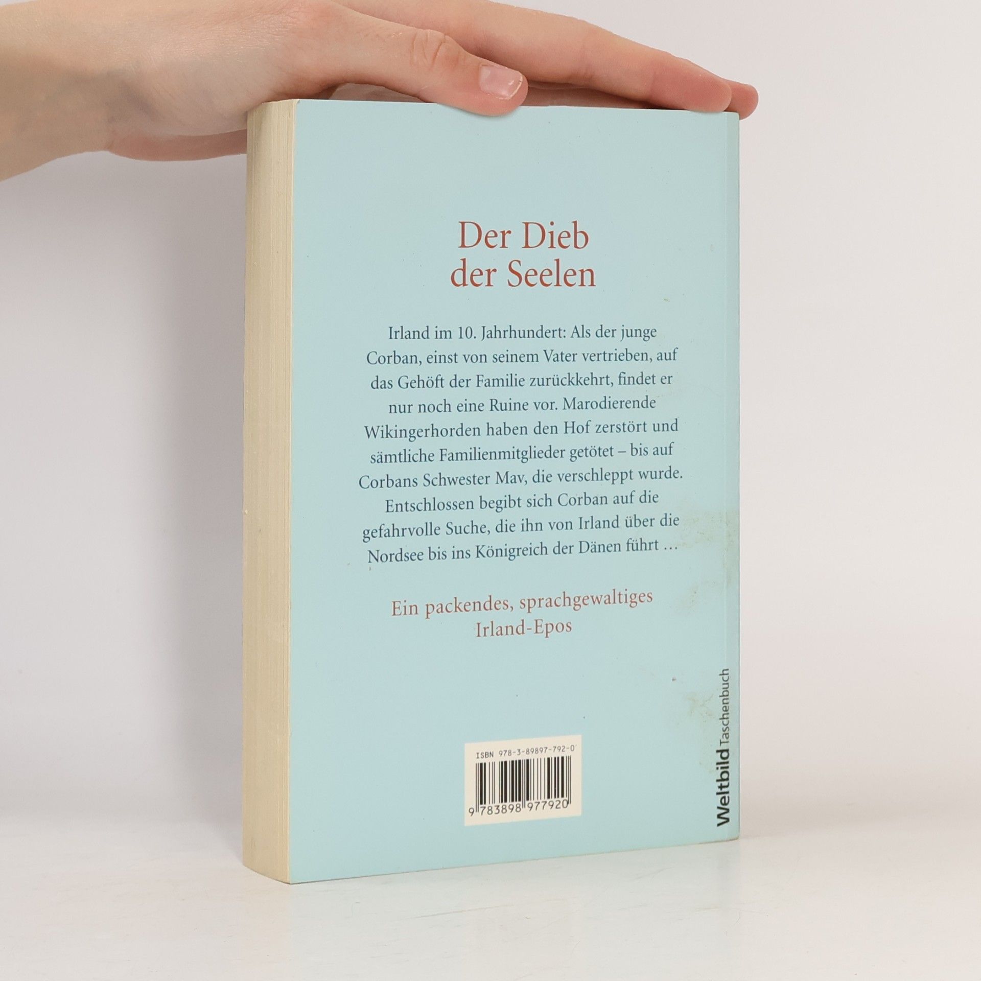 Cecelia Holland Der Dieb der Seelen