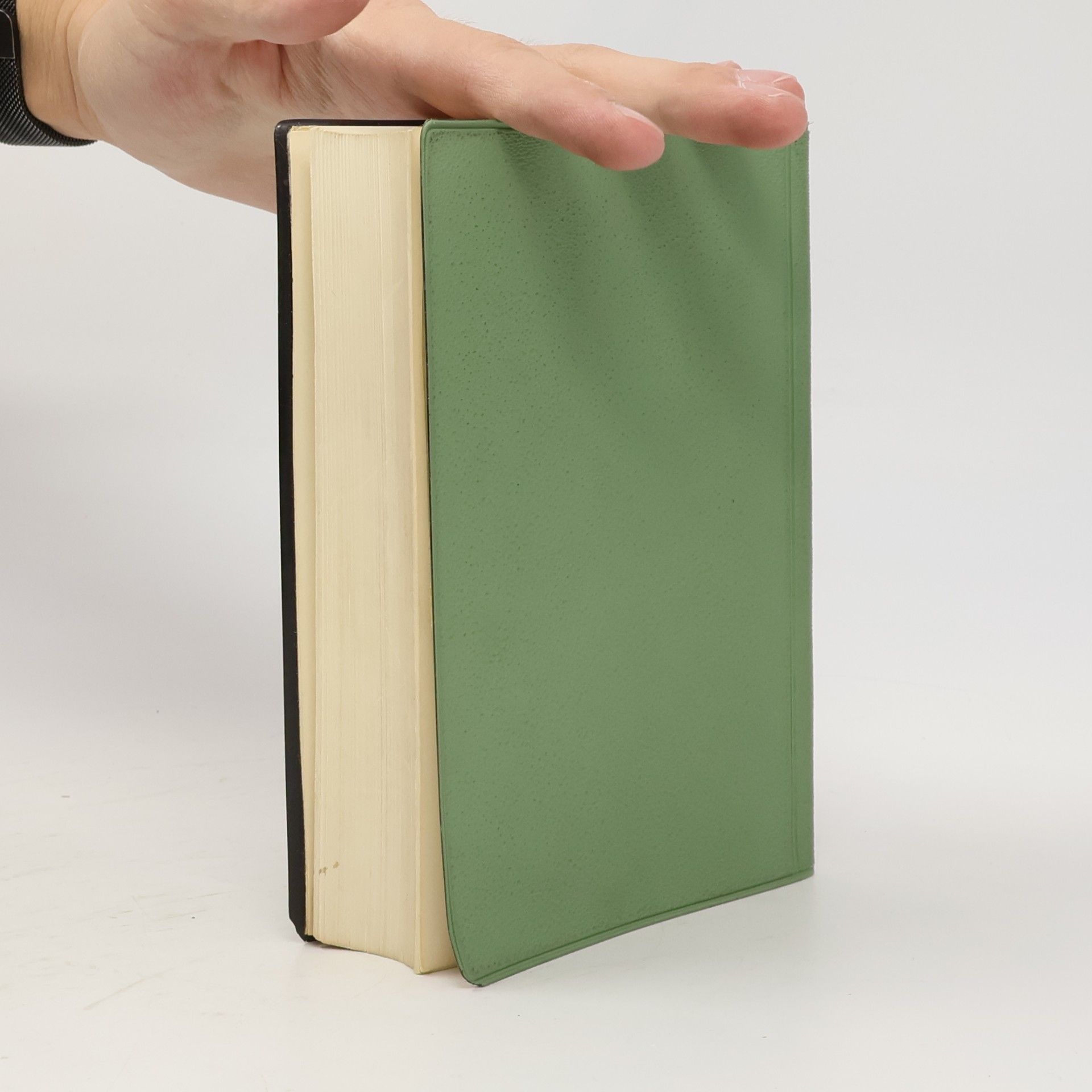 Autorenkollektiv Medica-Taschenbuch der inneren Medizin
