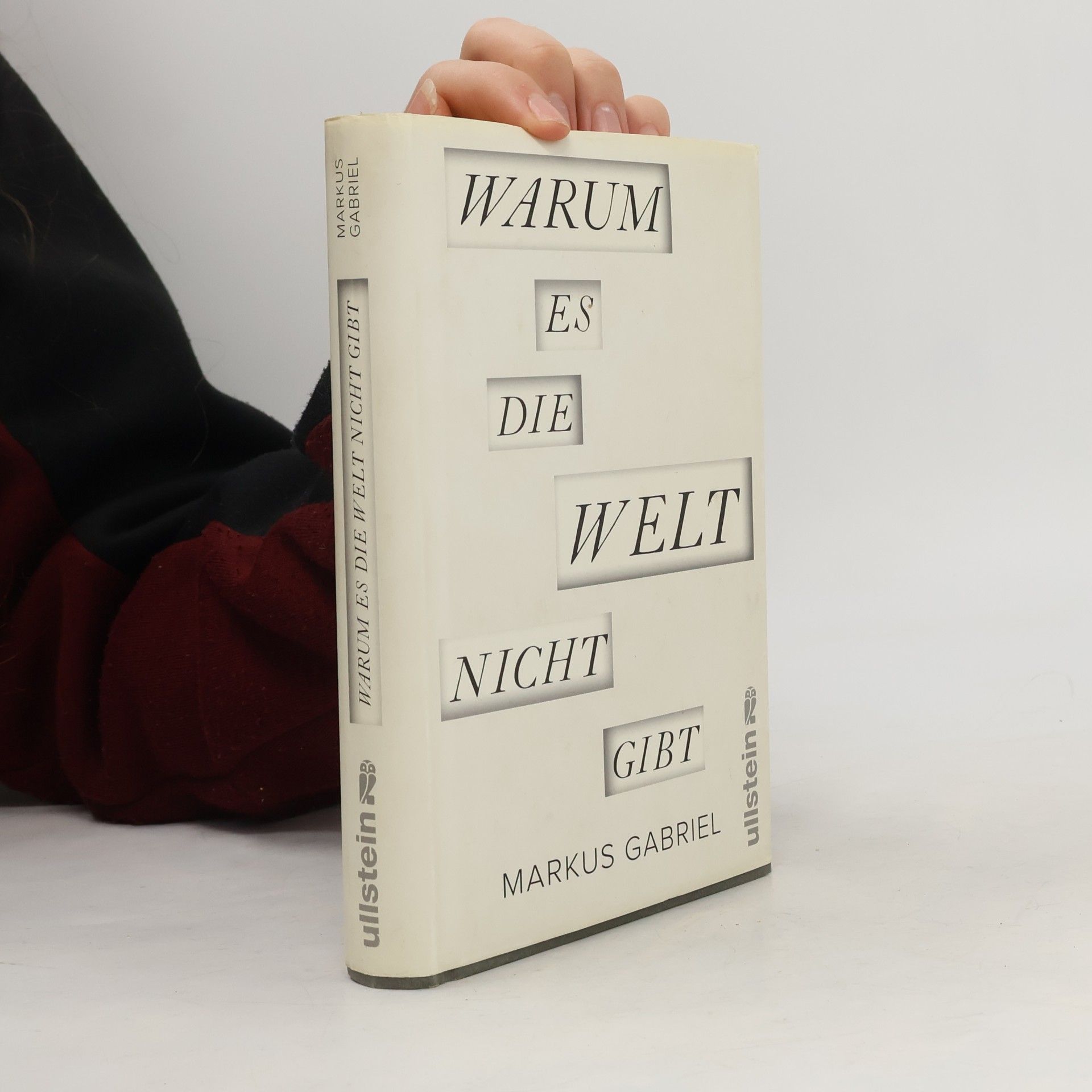 Markus Gabriel Warum es die Welt nicht gibt