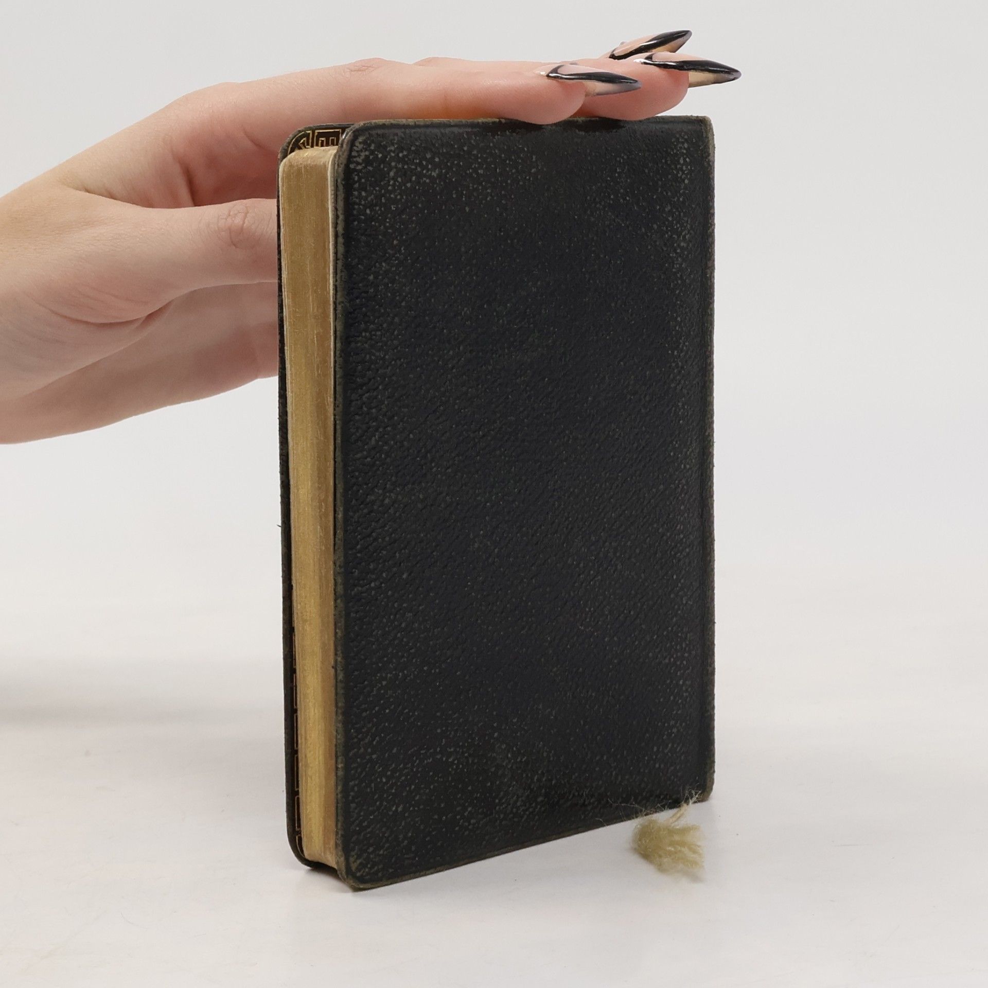 kolektiv Gesangbuch für die Evangelisch-reformierte Kirche der deutschen Schweiz