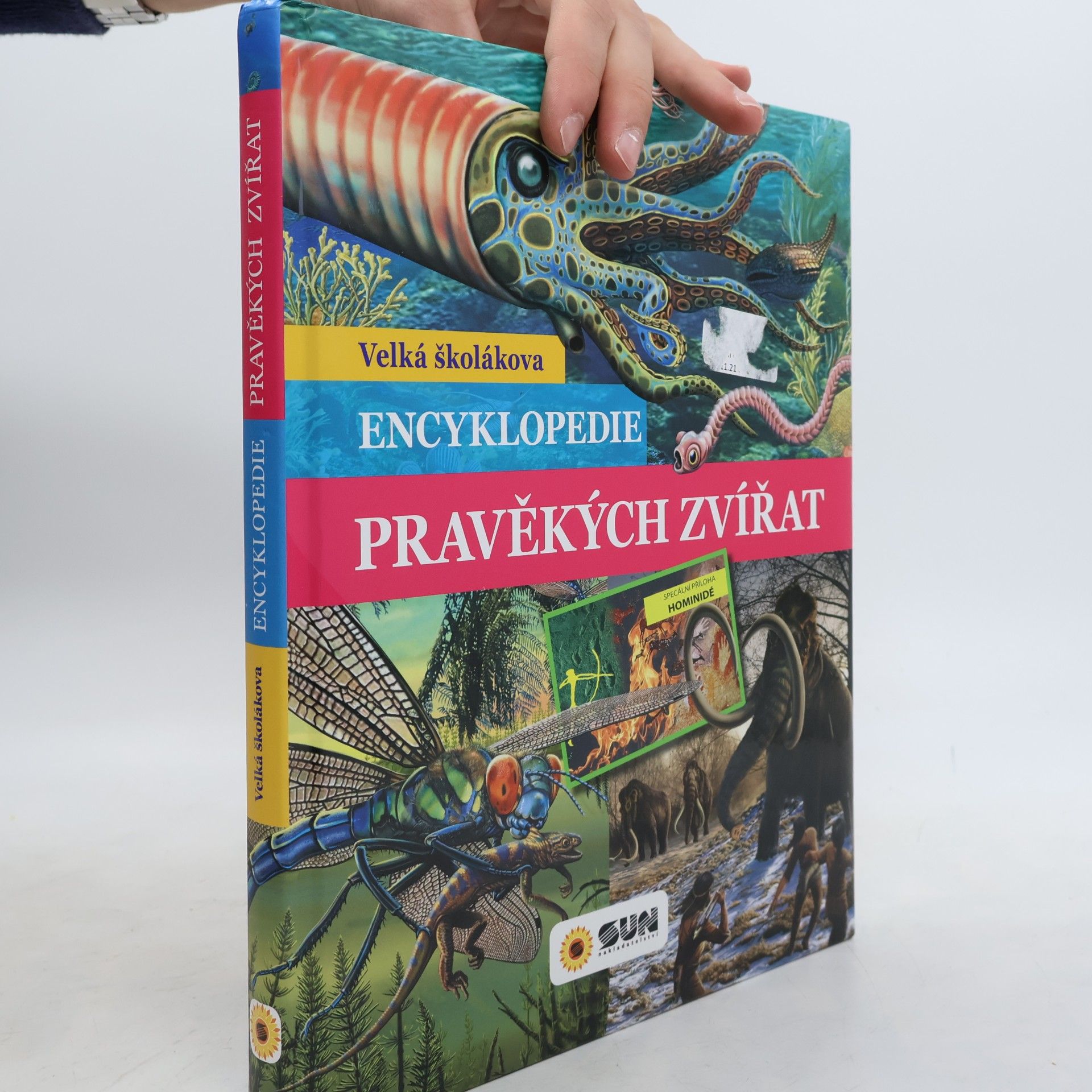 Carmen Rodríguez Život v mořích a oceánech