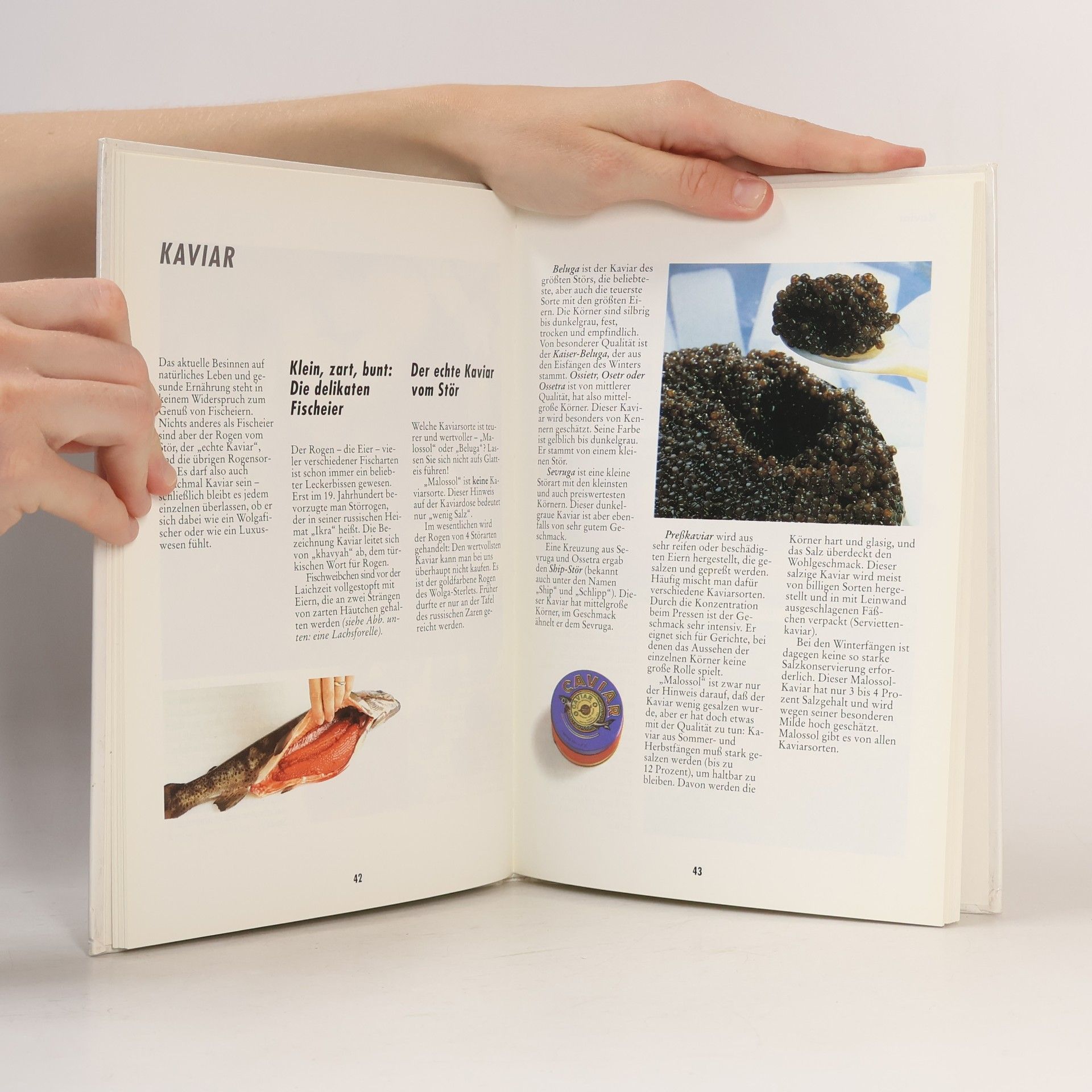 Autorenkollektiv Fisch und Meeresfrüchte