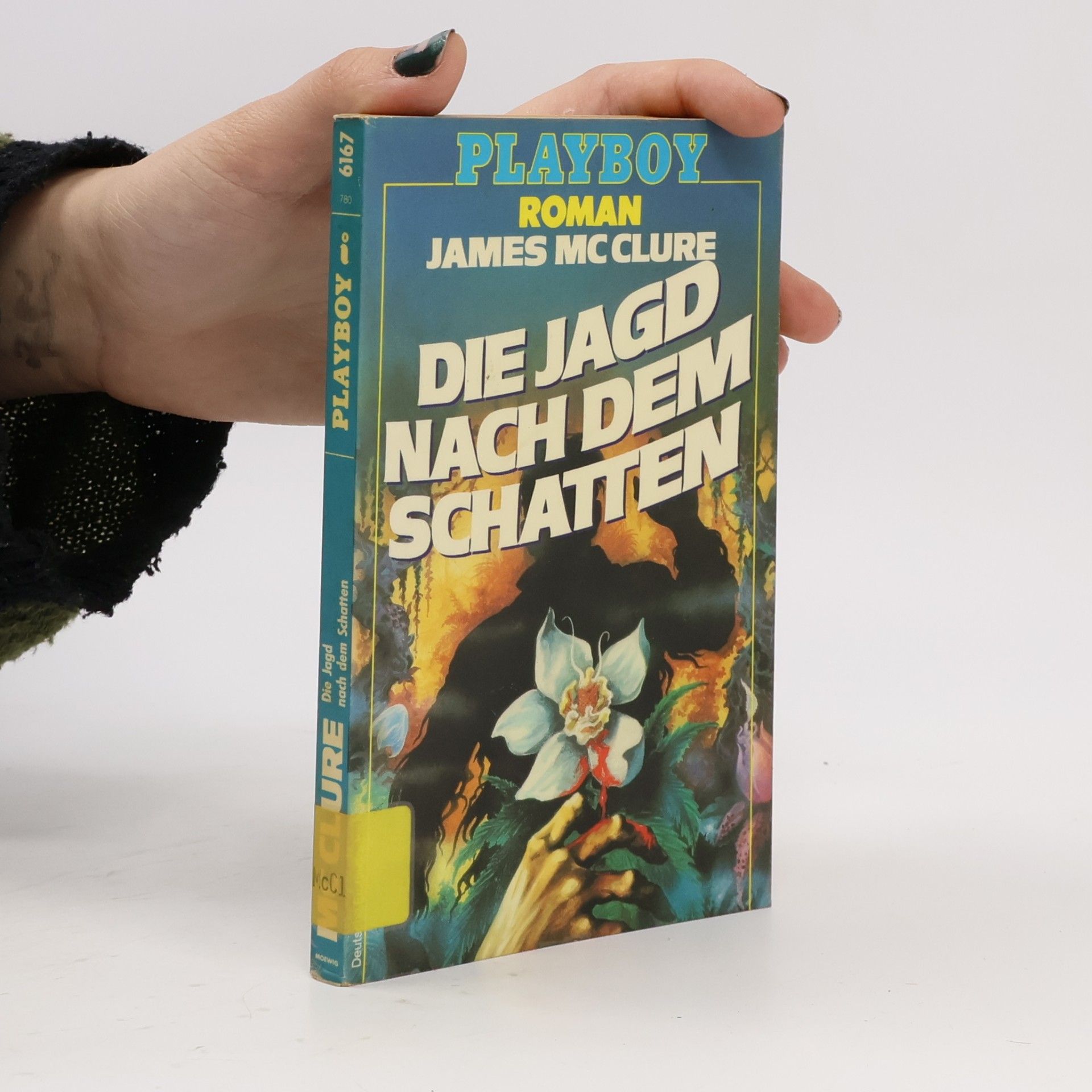 Die Jagd nach dem Schatten. Roman.