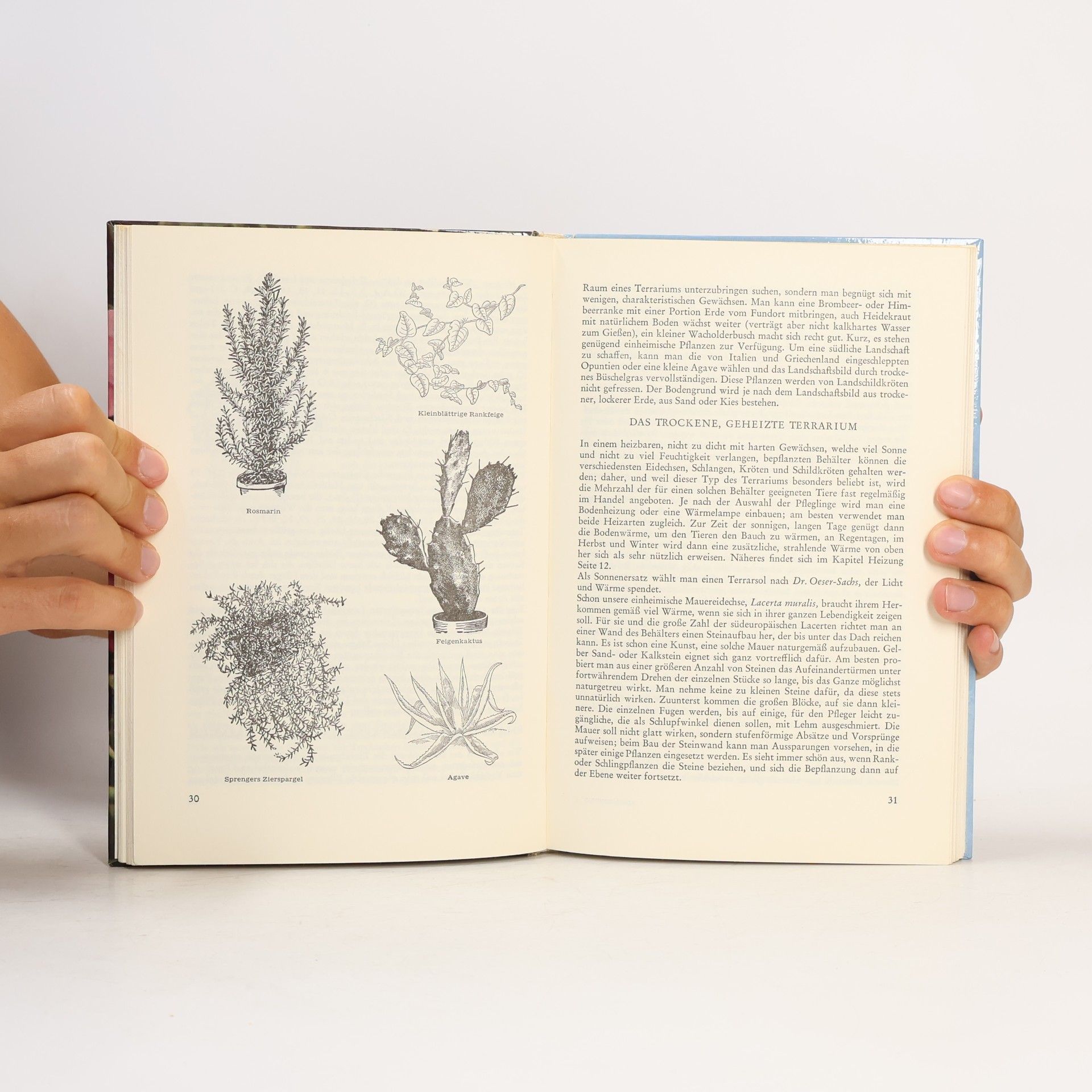 W.B. Sachs Terrarien - Pflege leicht gemacht