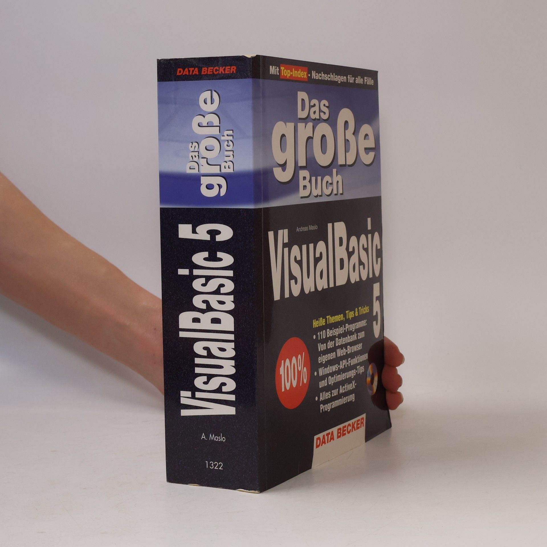 Das große Buch VisualBasic 5