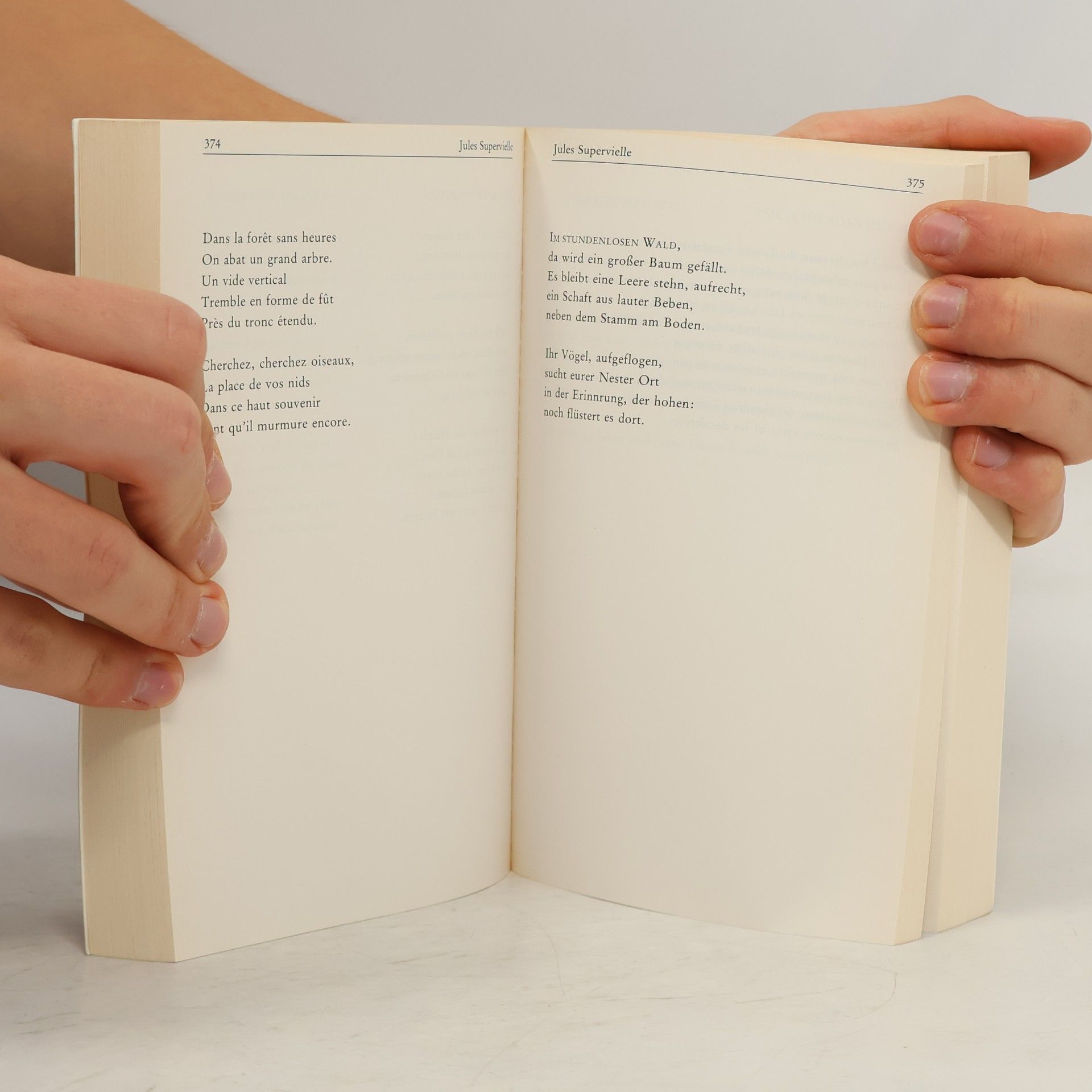 Paul Celan Gesammelte Werke 4