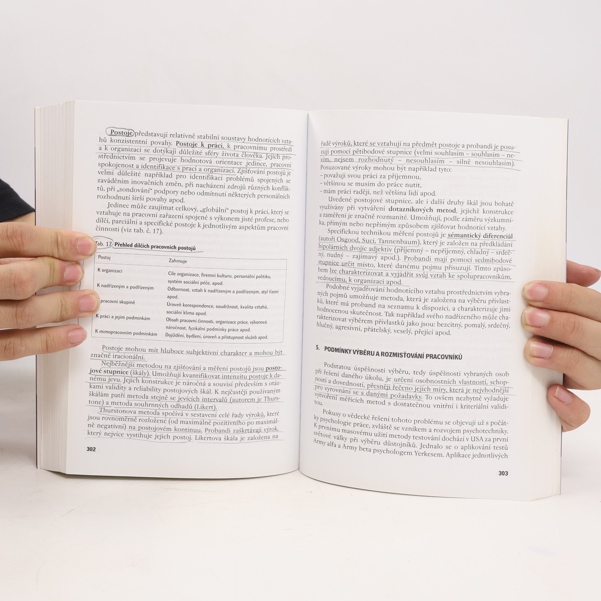 Jiří Štikar Psychologie ve světě práce