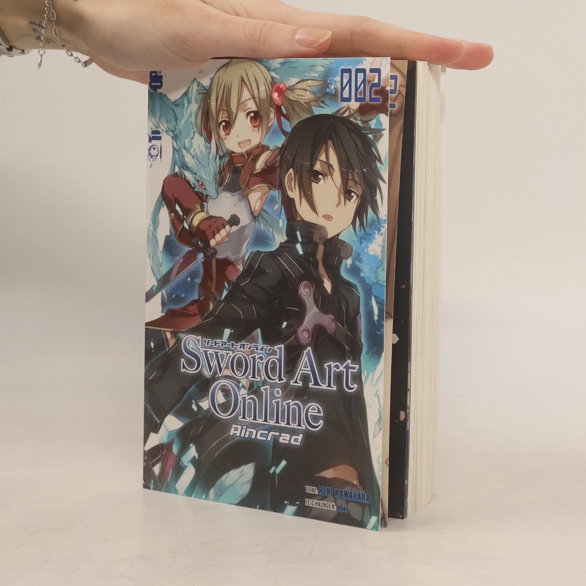 Reki Kawahara Sword Art Online 02
