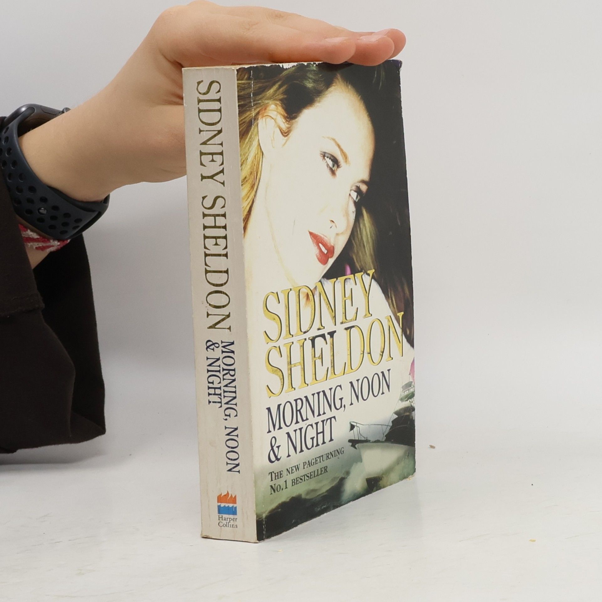 Sidney Sheldon Morning, Noon & Night