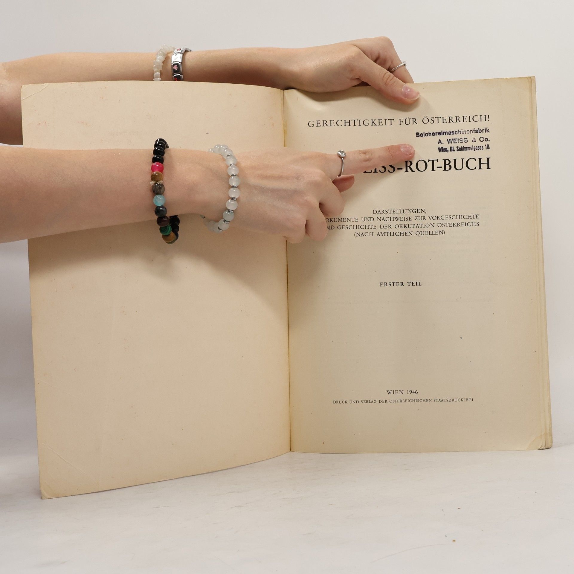 Autorenkollektiv Rot-Weiss-Rot-Buch: Gerechtigkeit für Österreich!