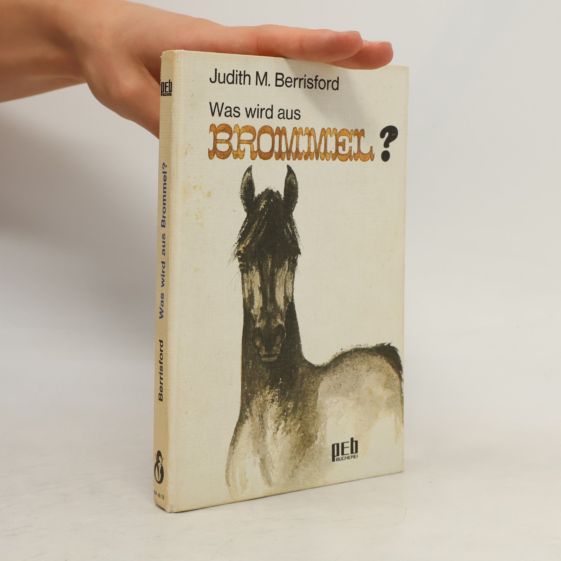 Dagmar von Wrangel Was wird aus Brommel?