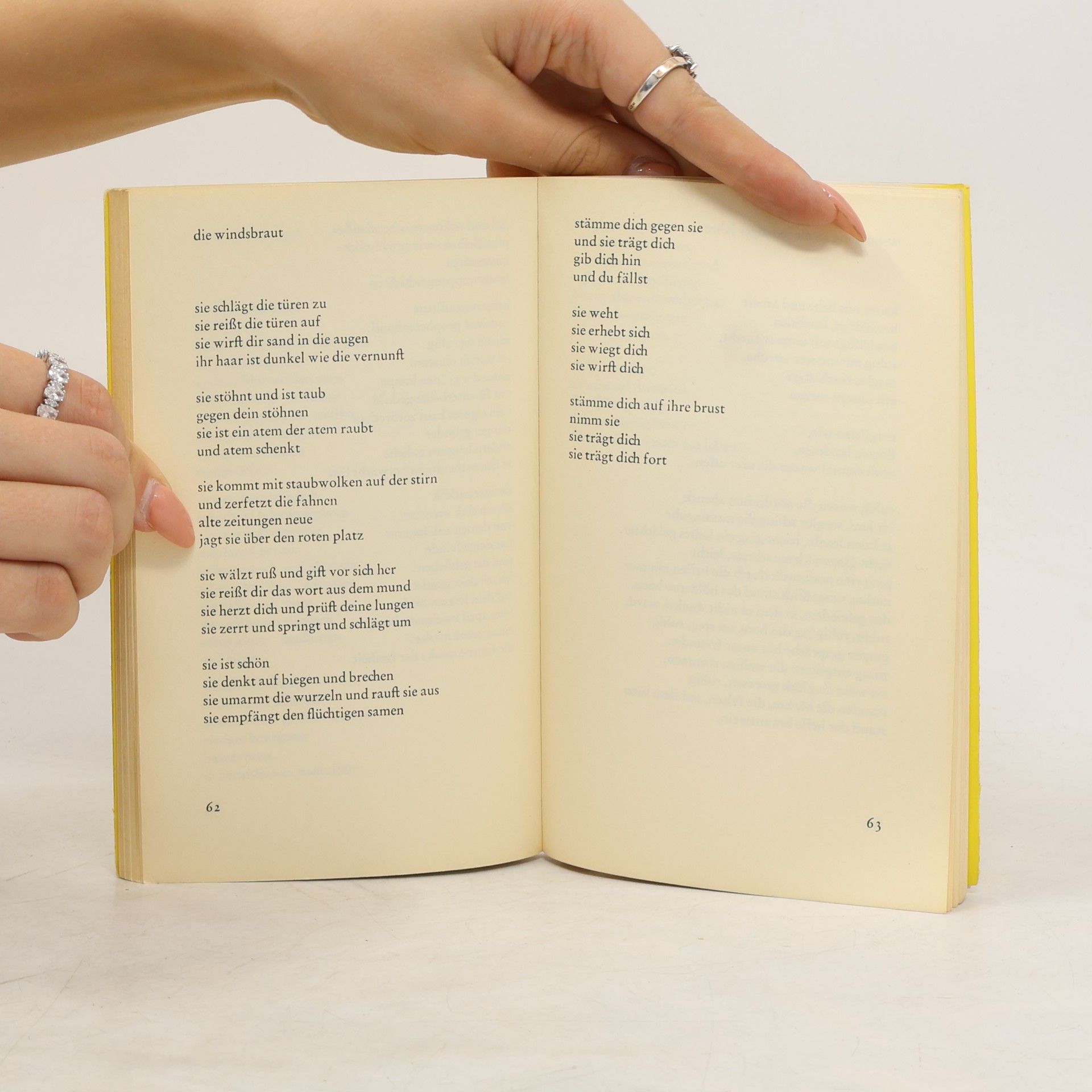 Hans Magnus Enzensberger Blindenschrift