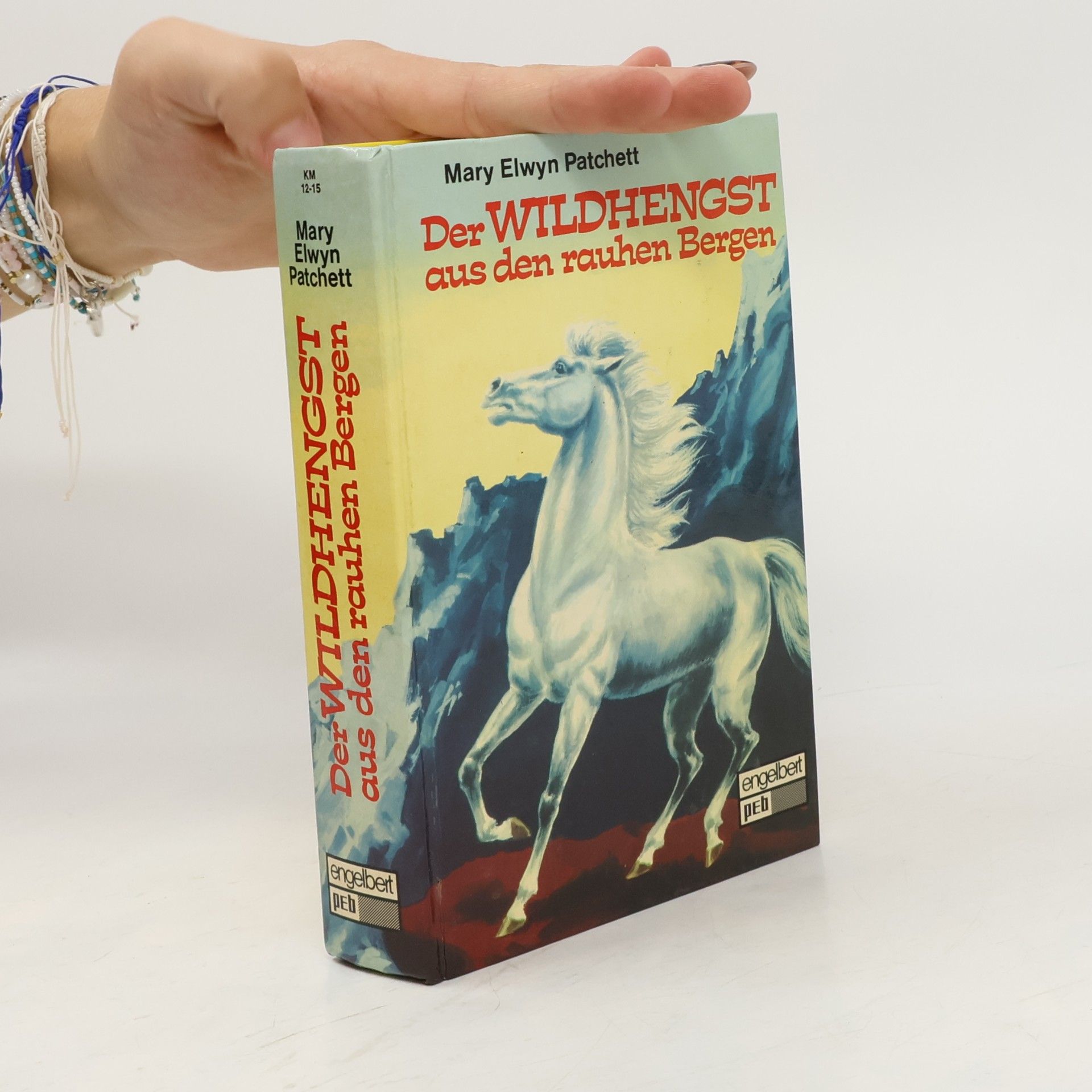Mary E. Patchett Der Wildhengst aus den rauhen Bergen