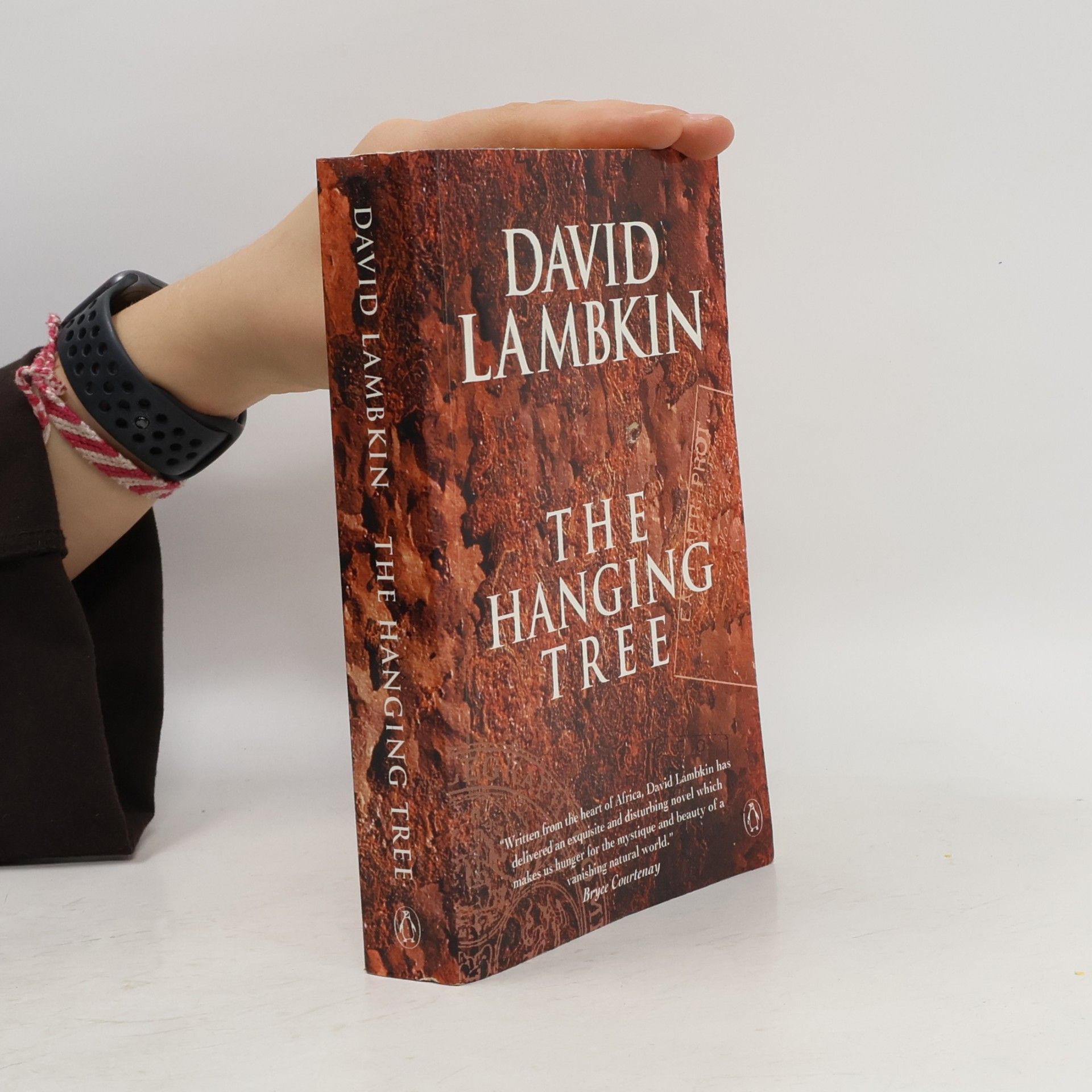 David Lambkin The Hanging Tree