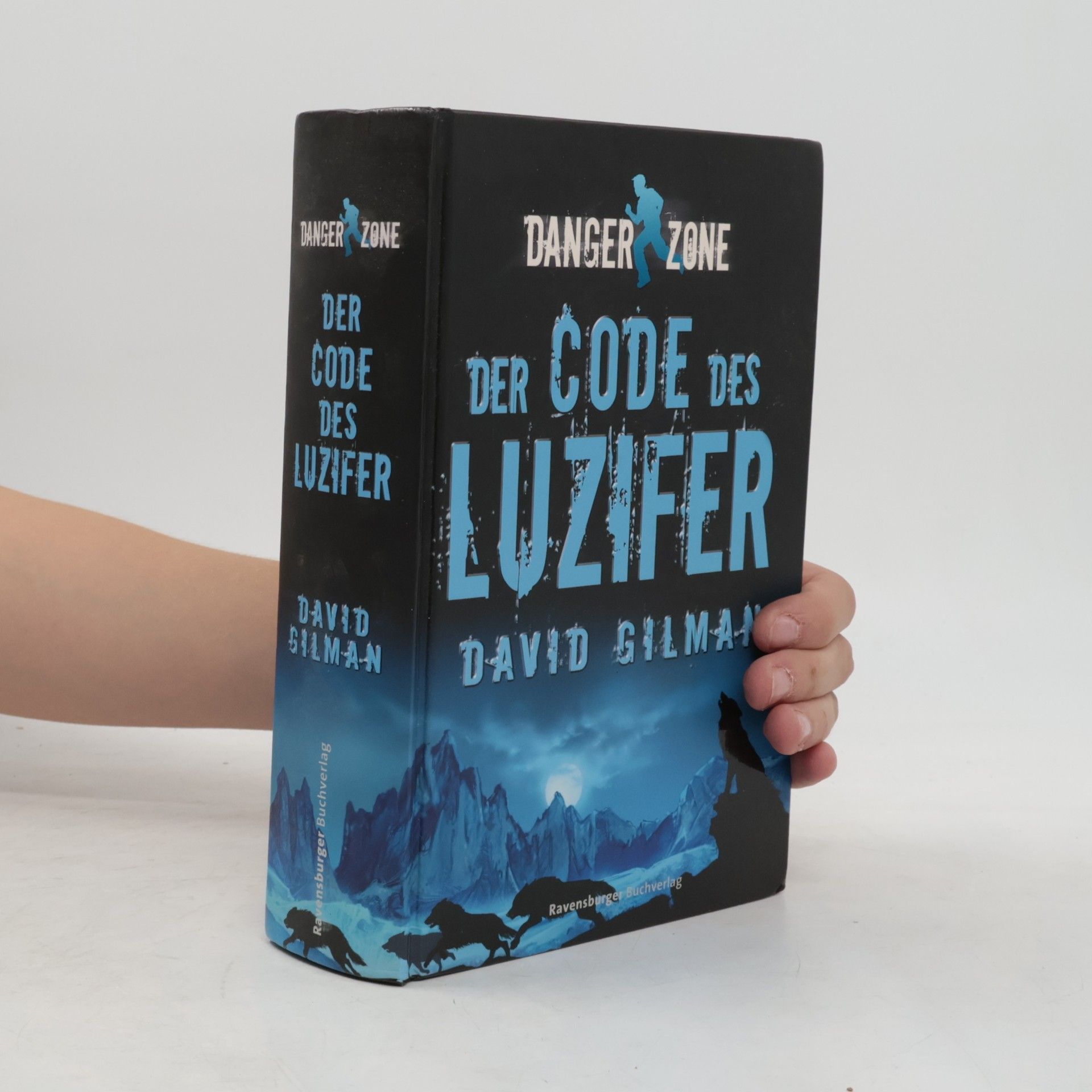 David Gilman Der Code des Luzifer