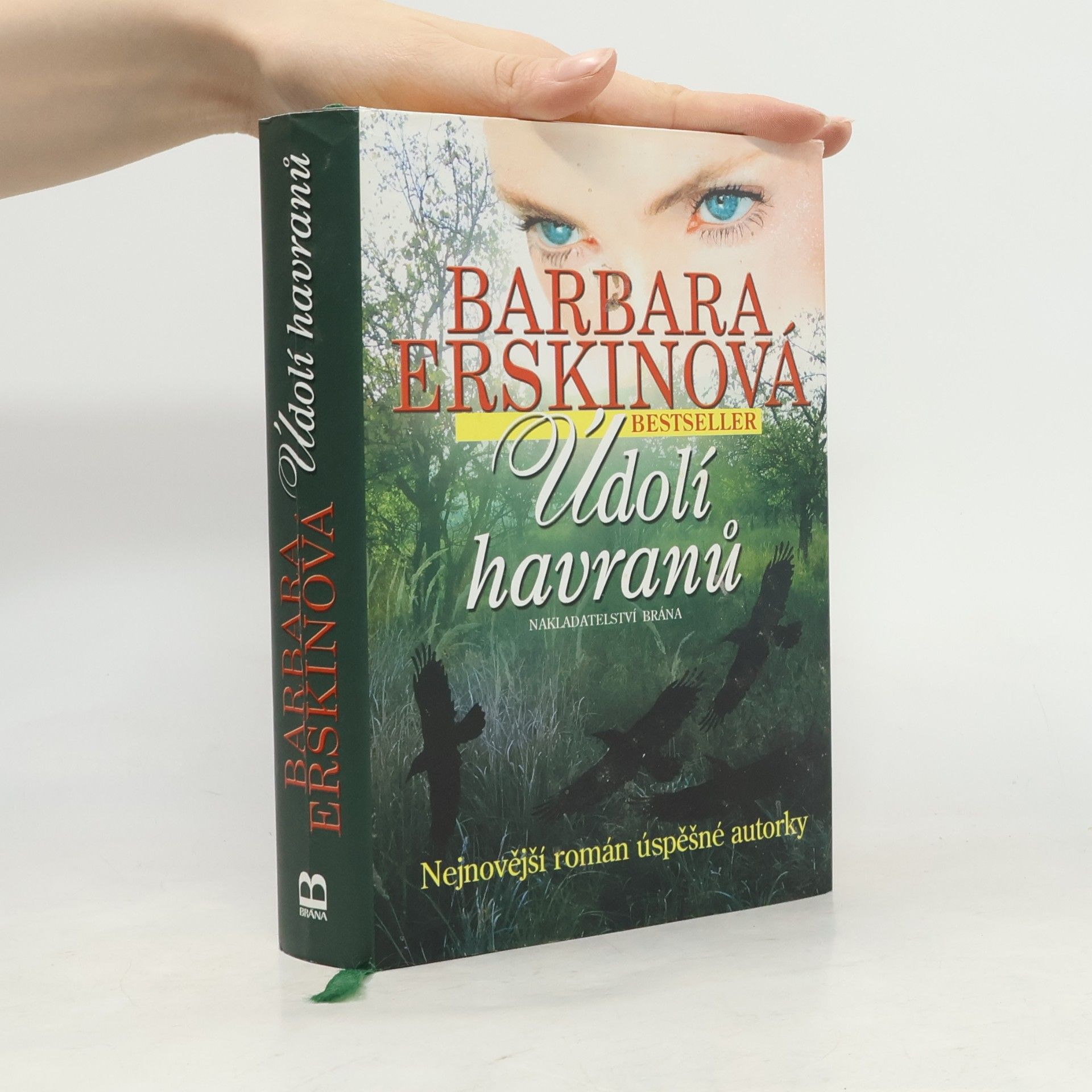 Barbara Erskinová Údolí havranů