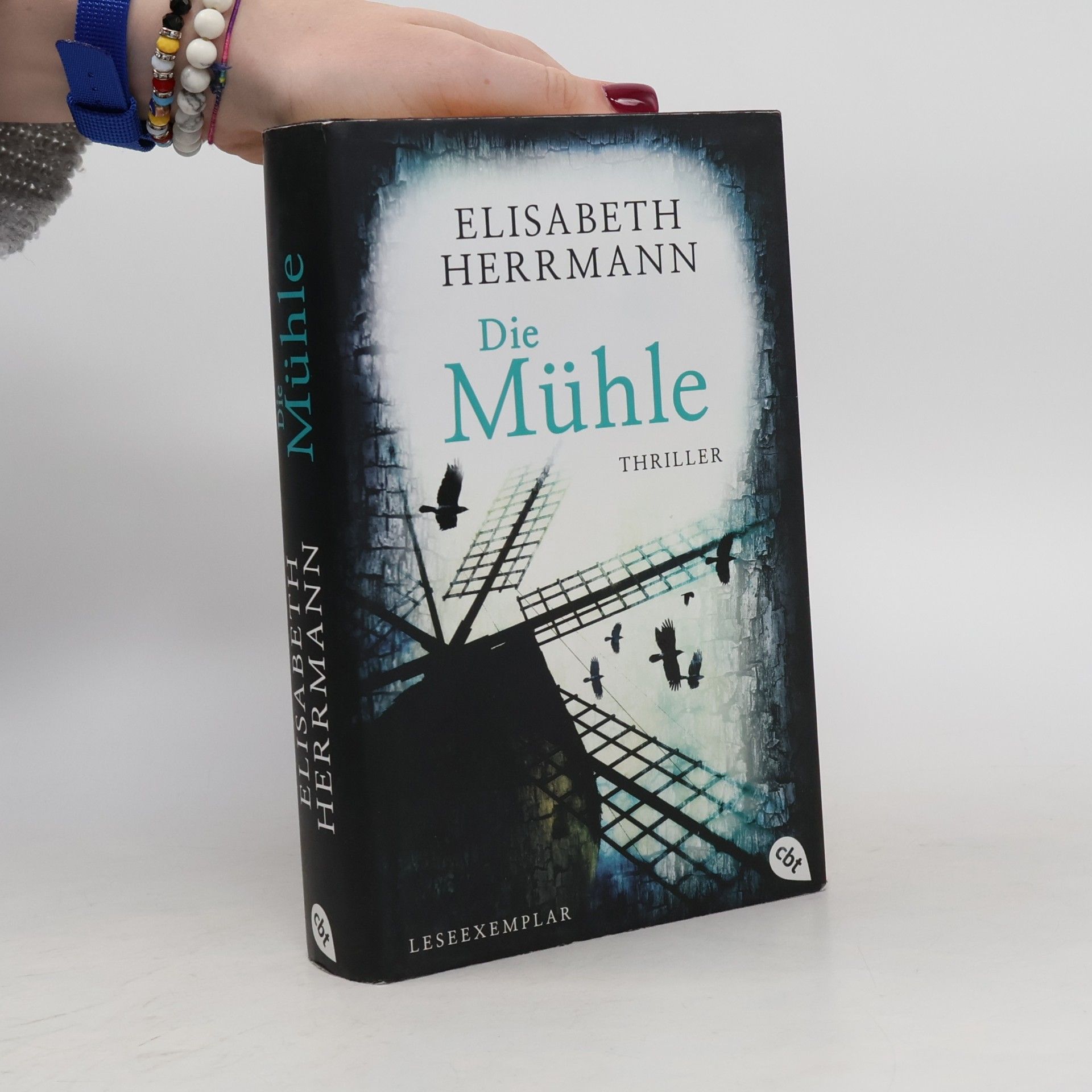 Elisabeth Hermann Die Mühle