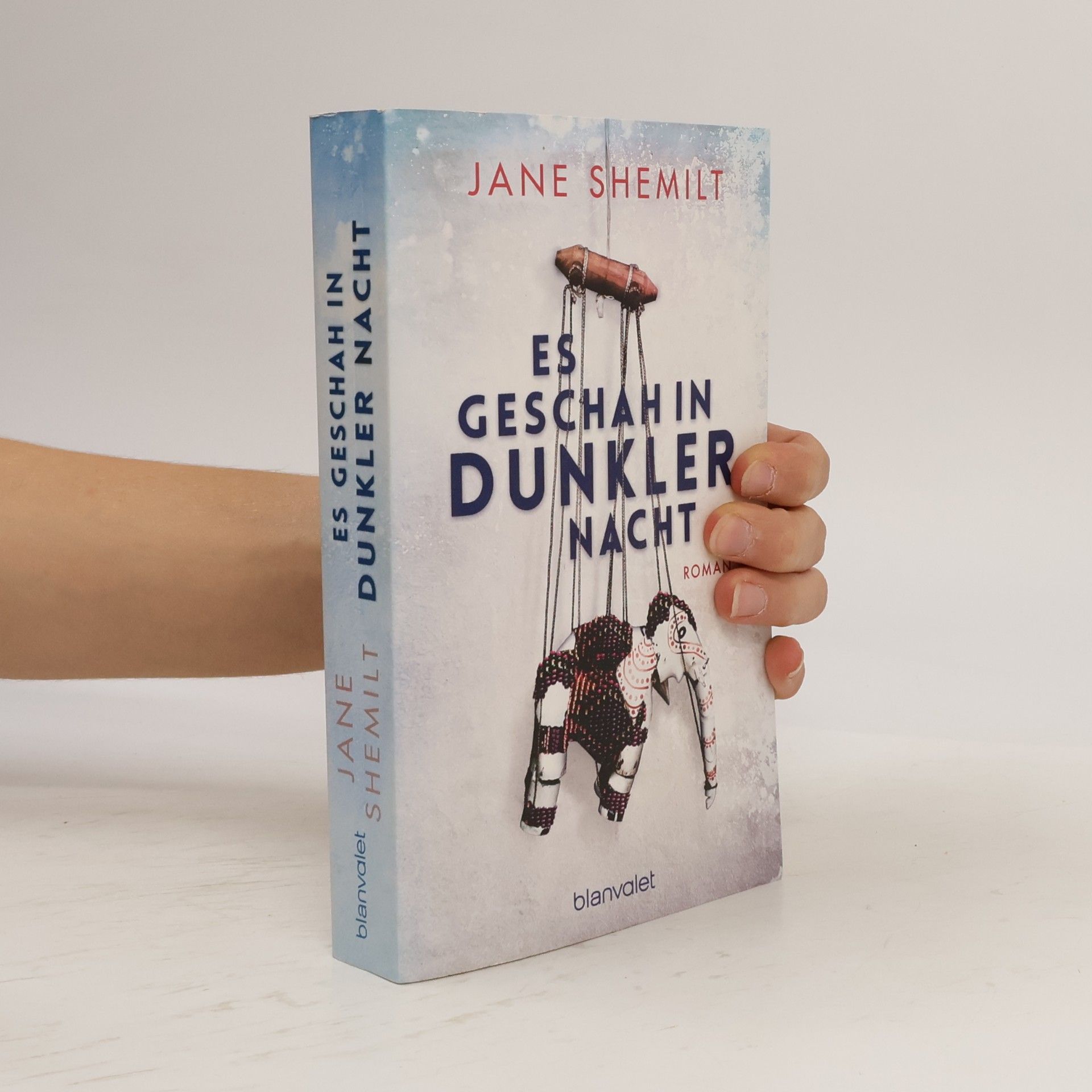 Jane Shemilt Es geschah in dunkler Nacht