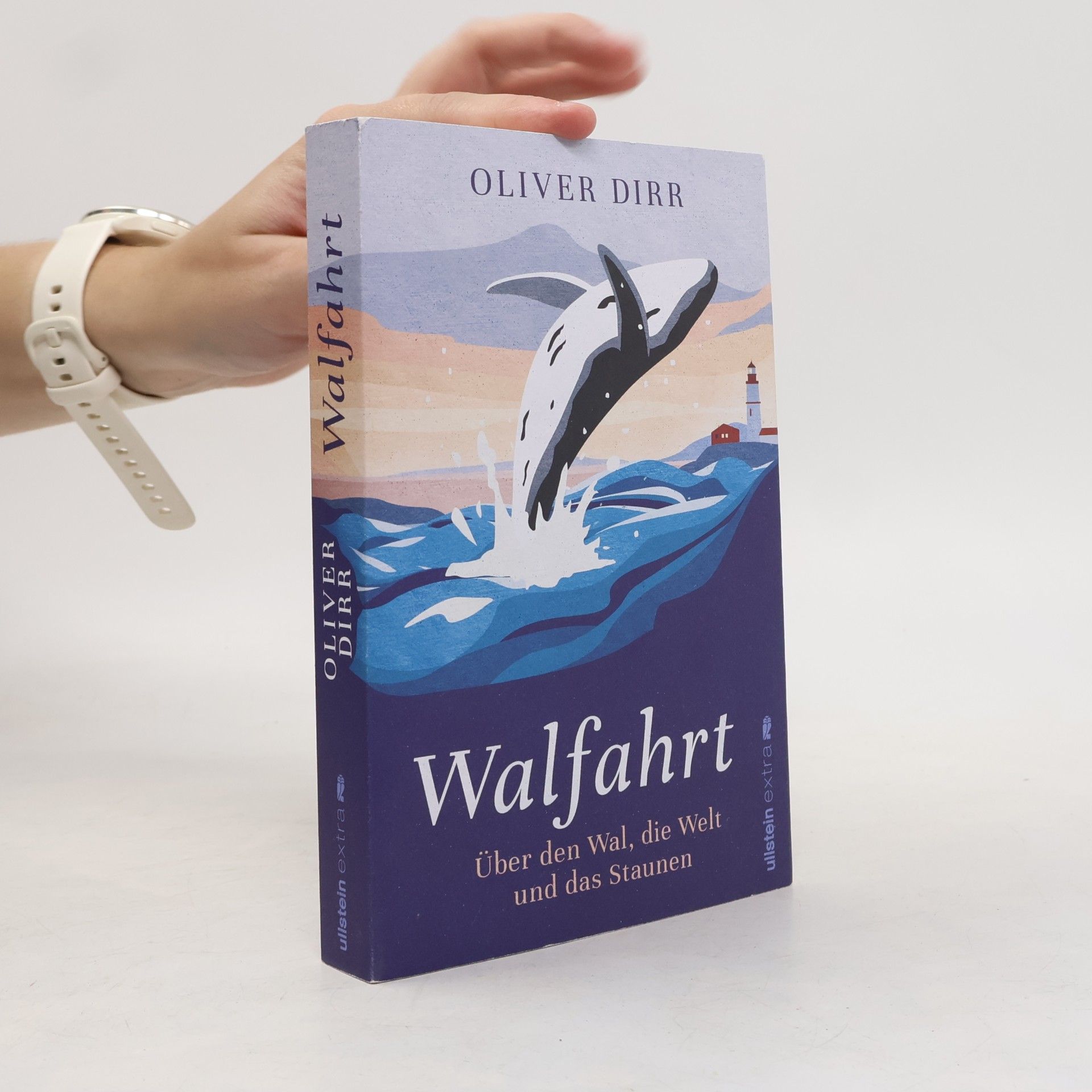 Oliver Dirr Walfahrt