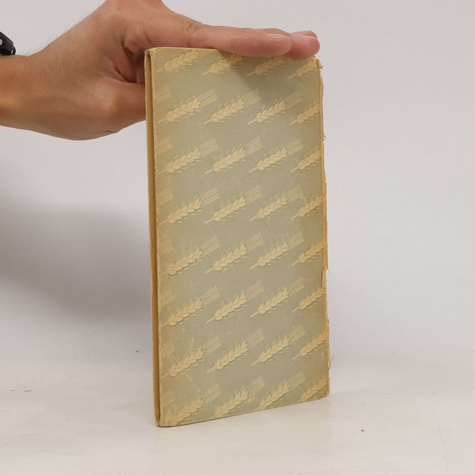Johann Wolfgang von Goethe Das kleine Goethe-Buch