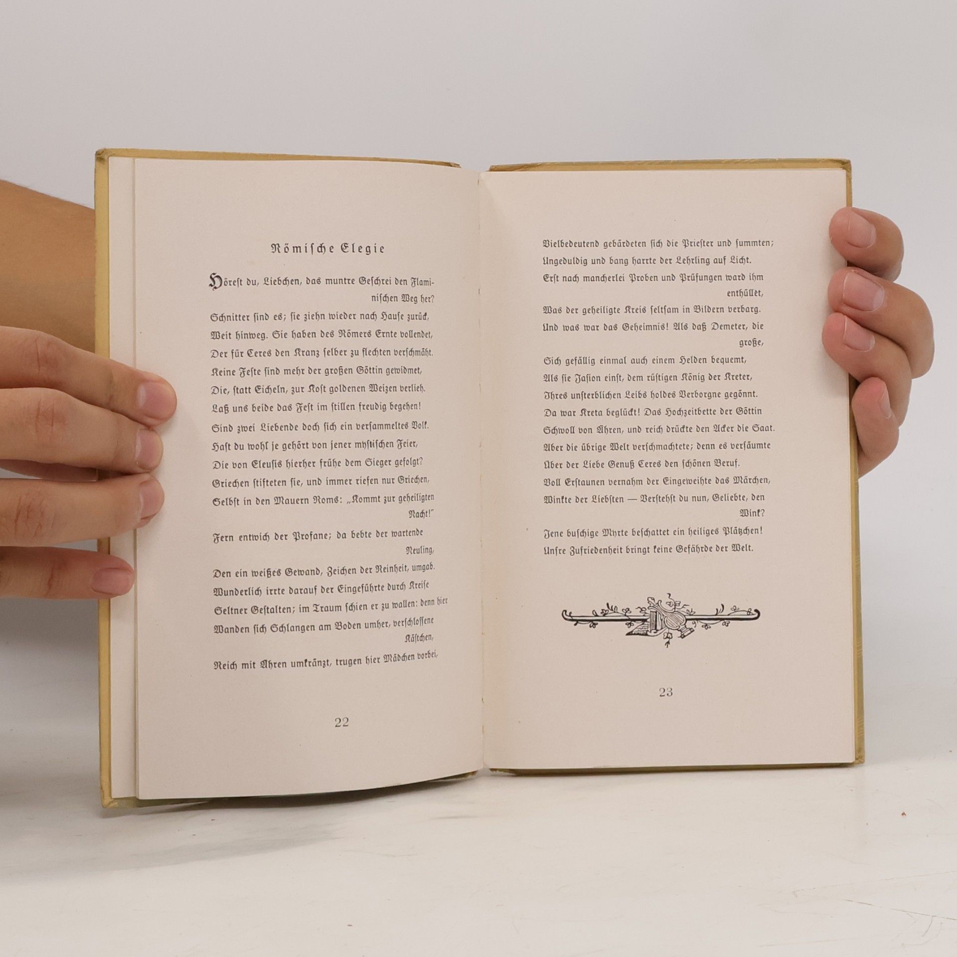 Johann Wolfgang von Goethe Das kleine Goethe-Buch