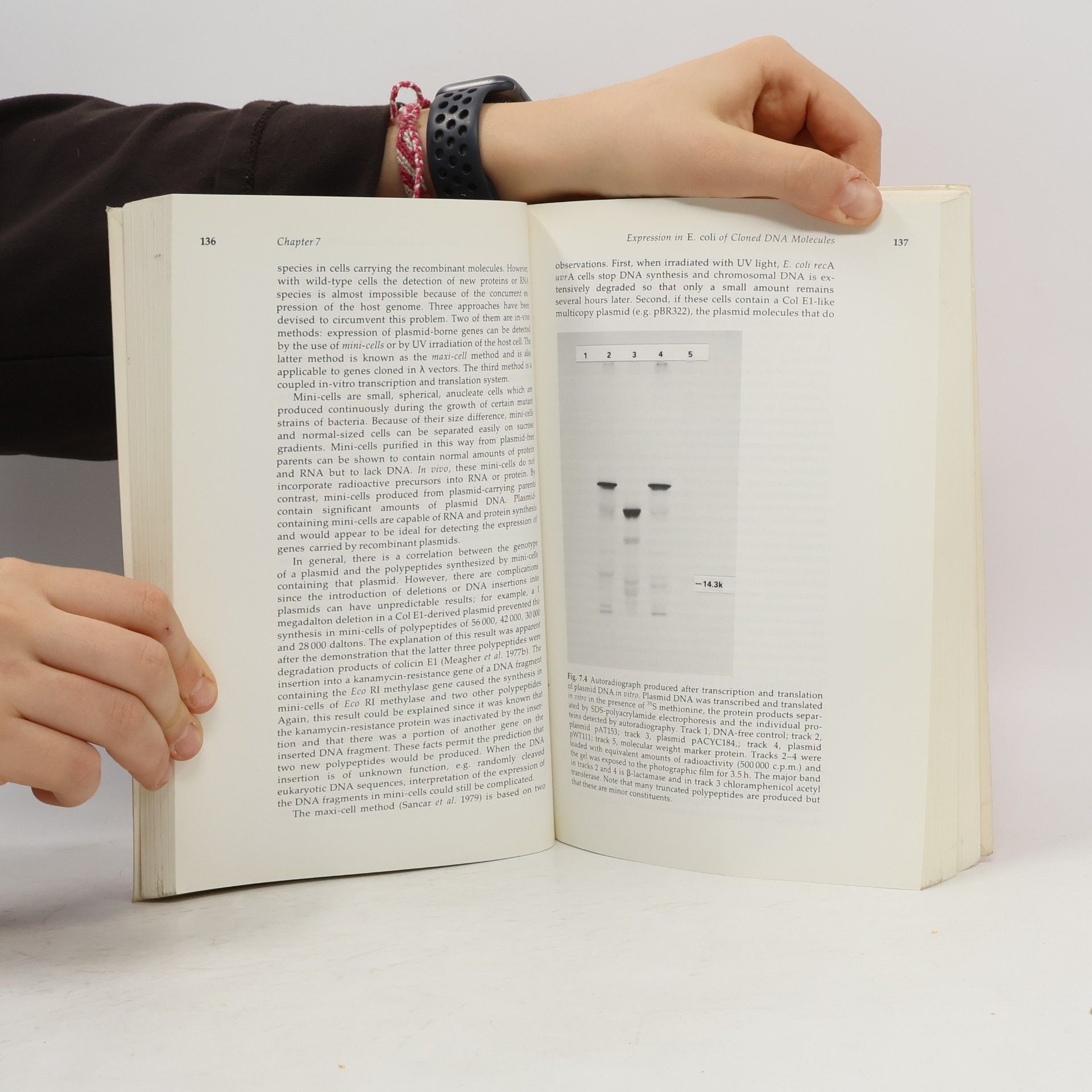 R. W. Old Studies in Microbiology - 2: Principles of Gene Manipulation