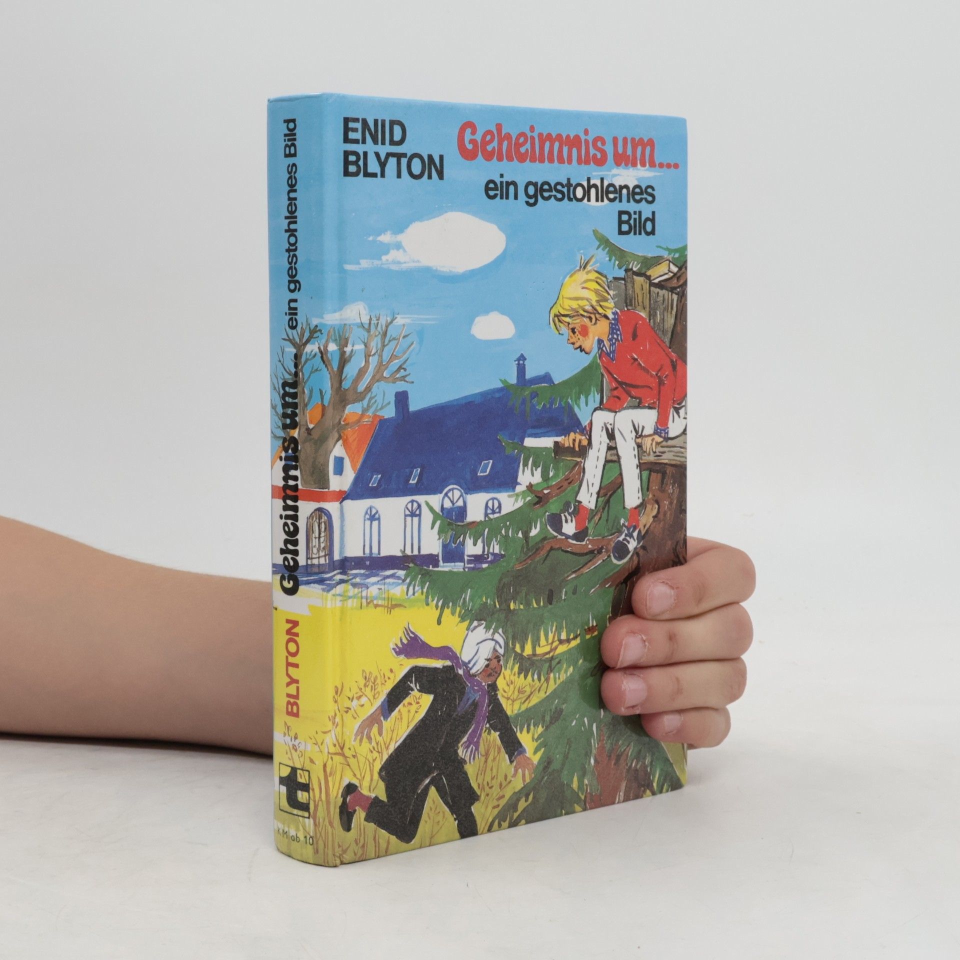 Enid Blyton Geheimnis um ein gestohlenes Bild