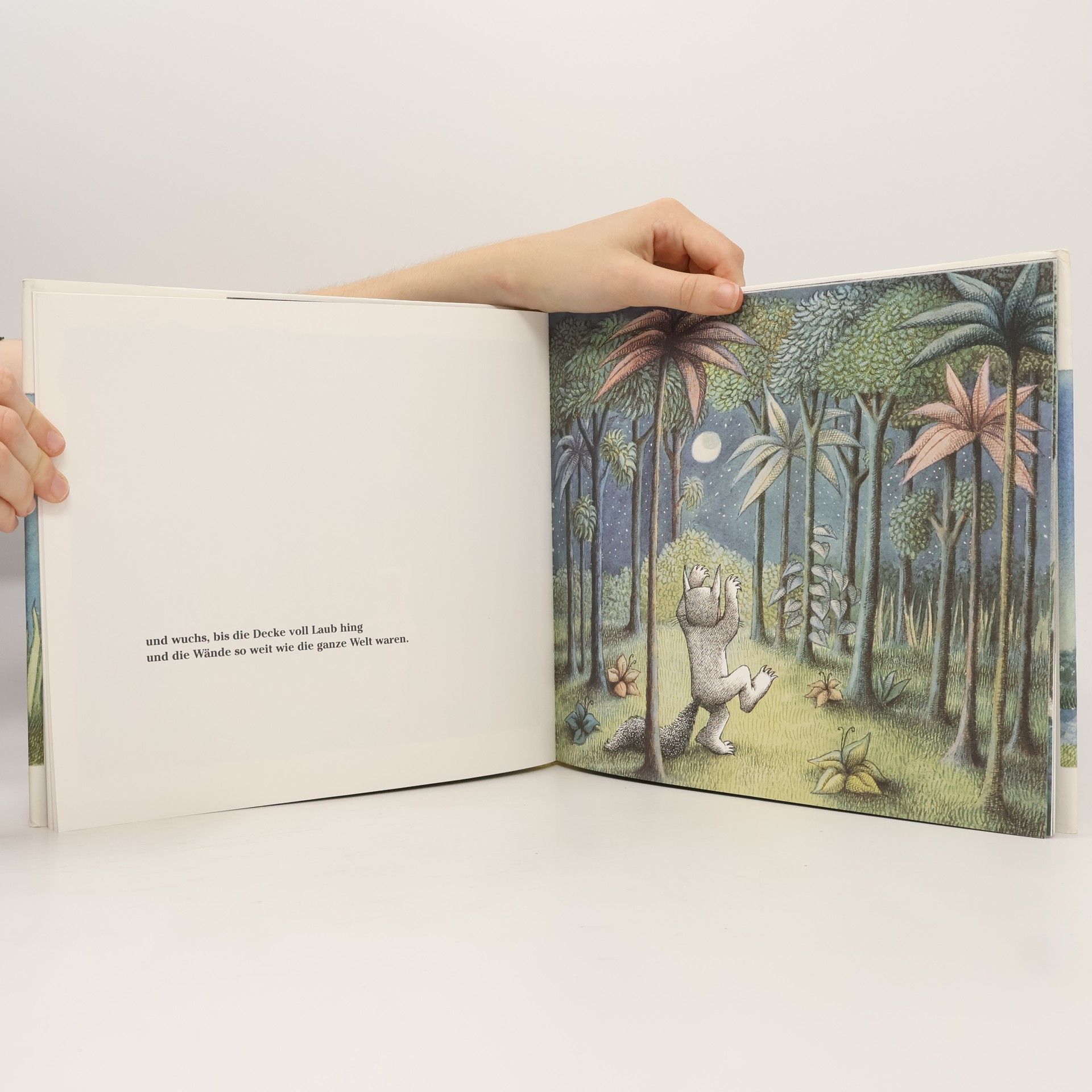 Maurice Sendak Wo die wilden Kerle wohnen