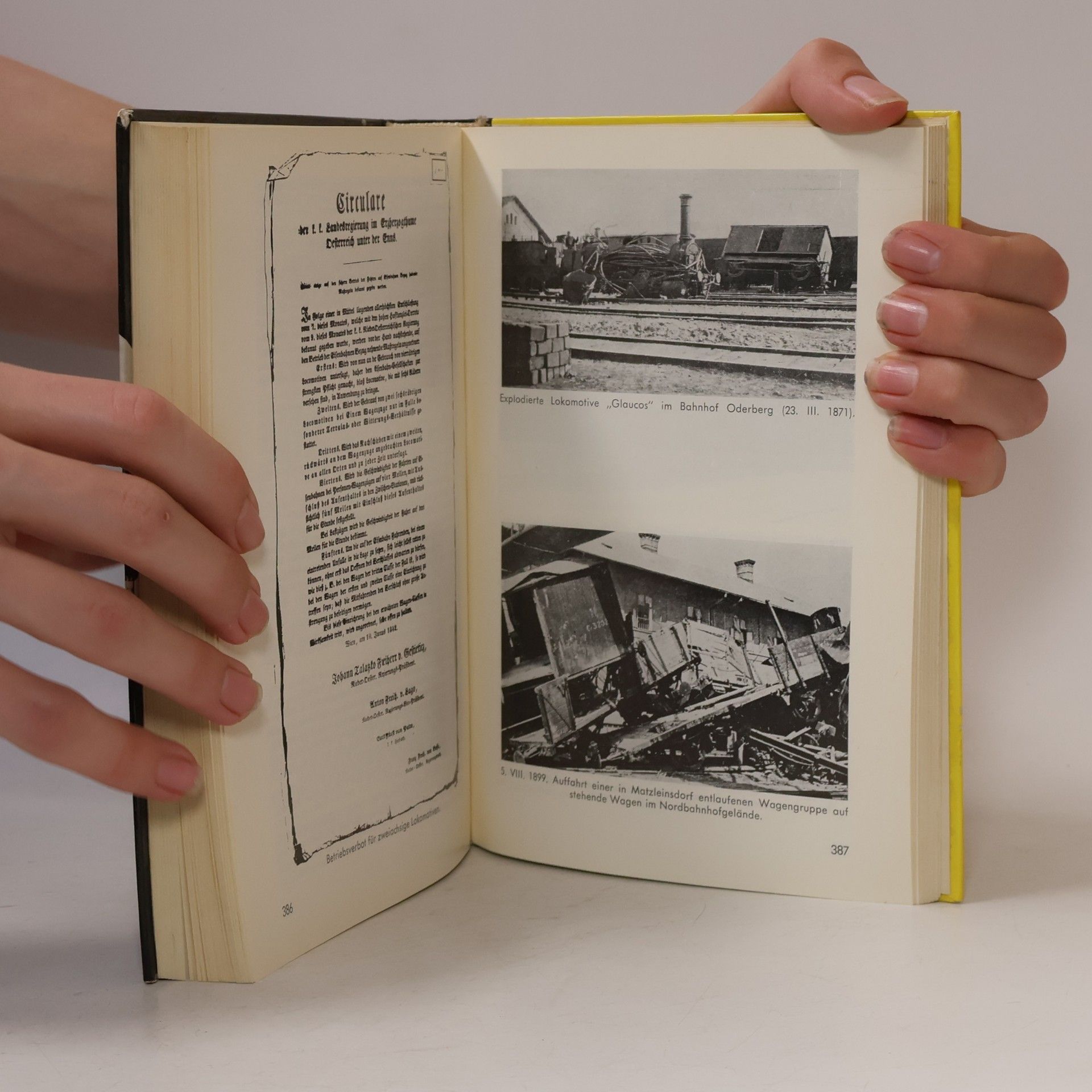 Alfred Horn Die Bahnen Österreich-Ungarns: Die Kaiser-Ferdinands-Nordbahn