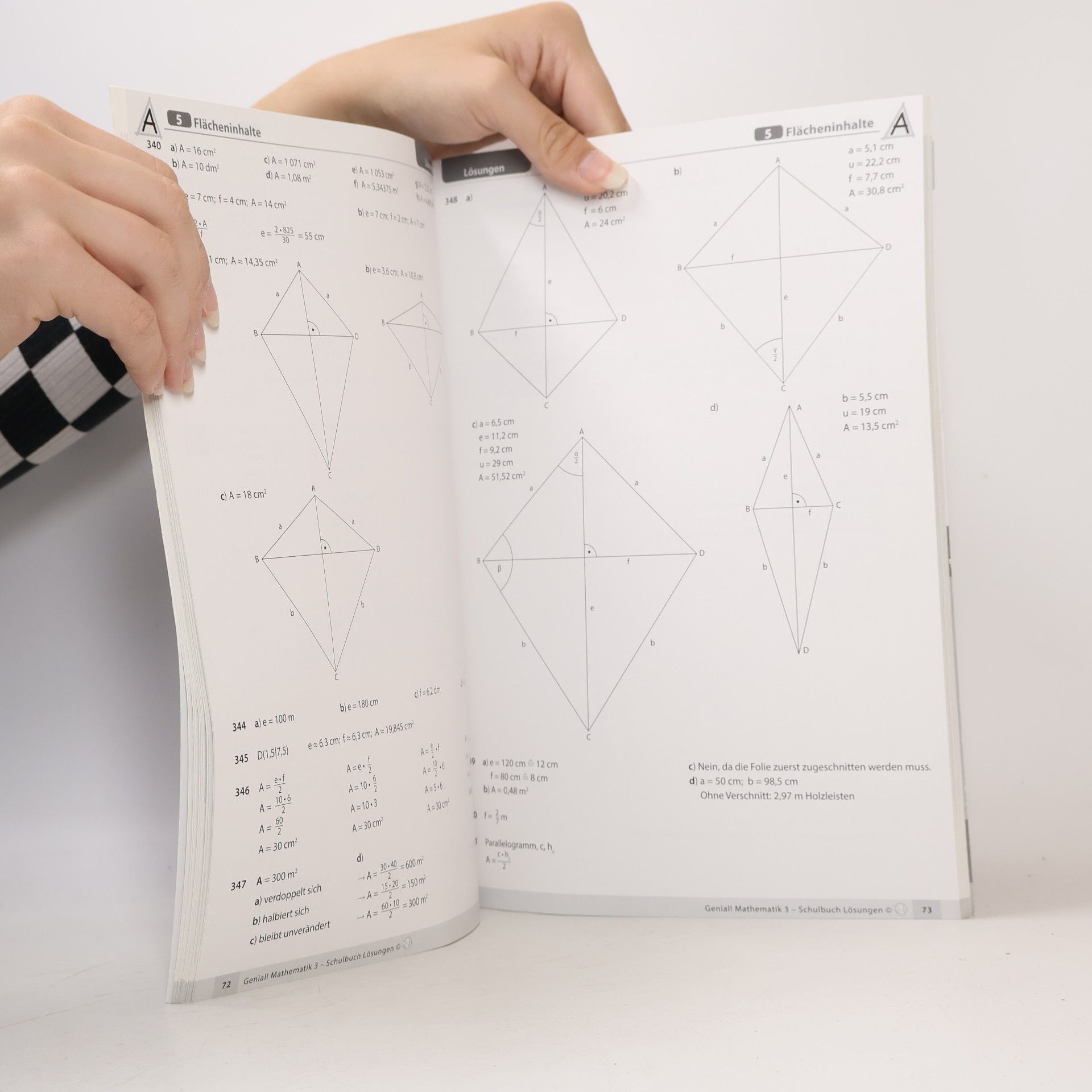 Rudolf Beer Genial! Mathematik 3 NEU. Lösungen