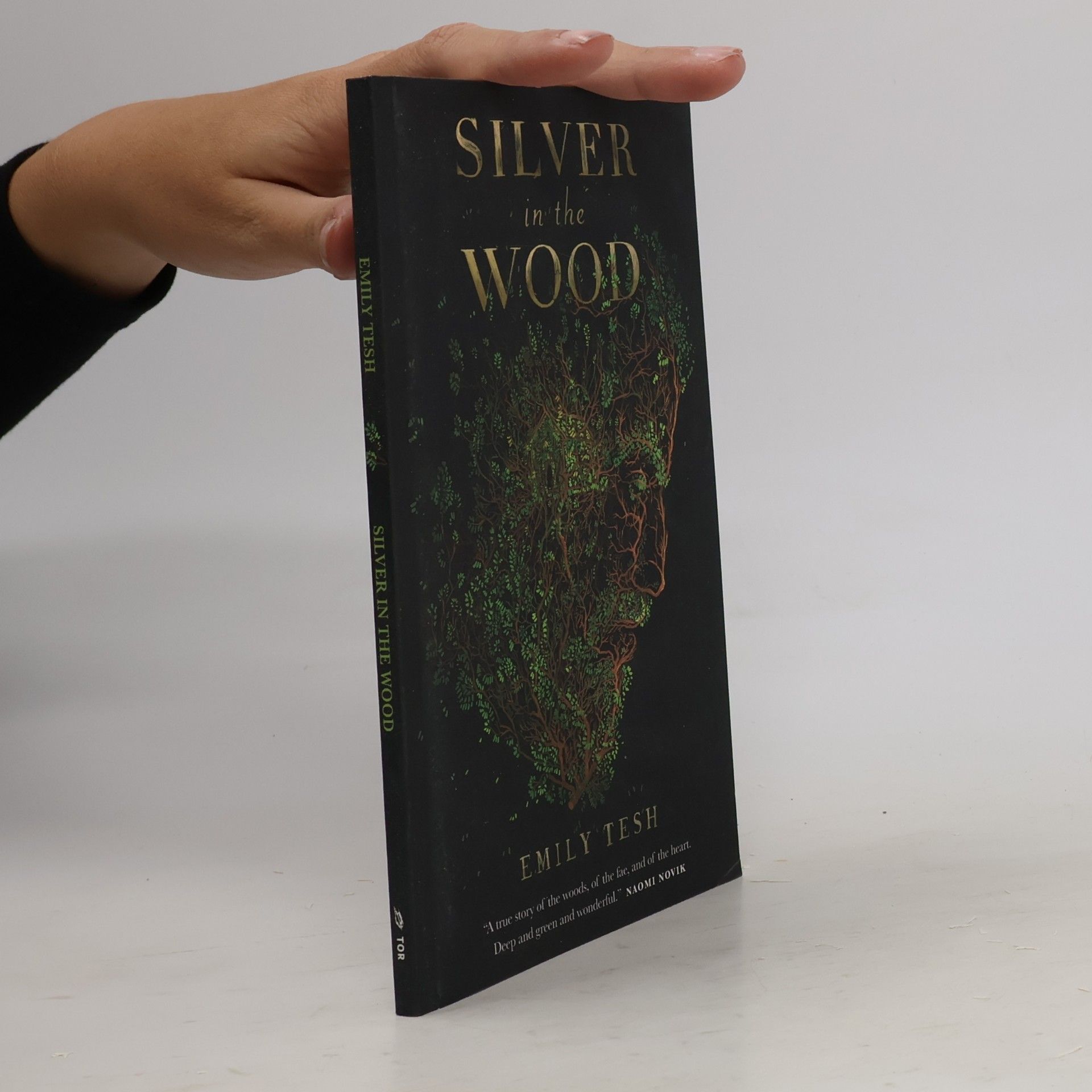 Emily Tesh Silver in the wood