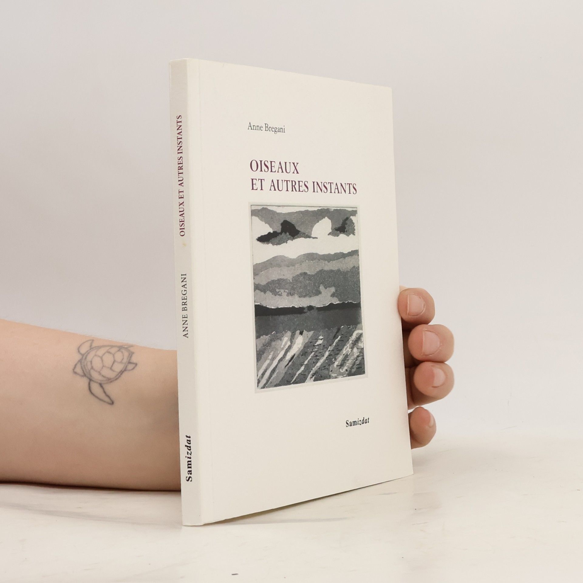 Anne Bregani Oiseaux et autres instants