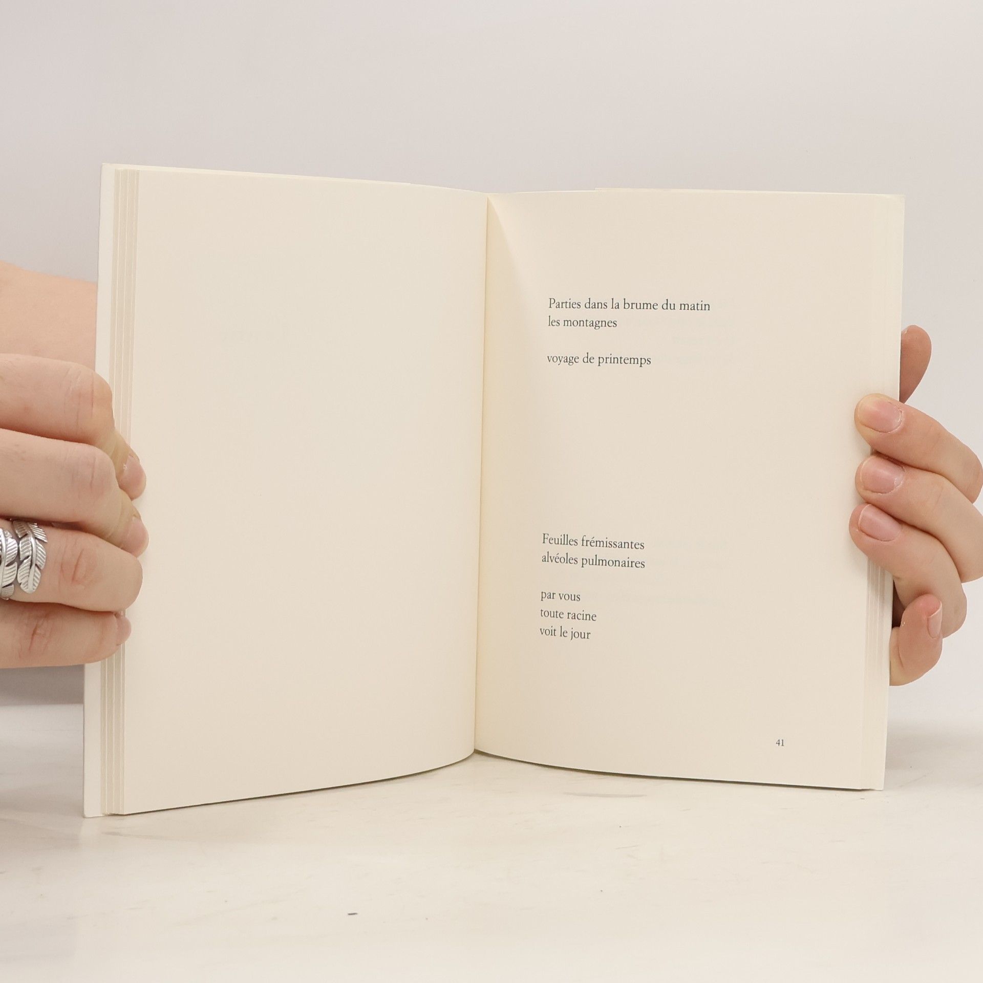 Anne Bregani Oiseaux et autres instants