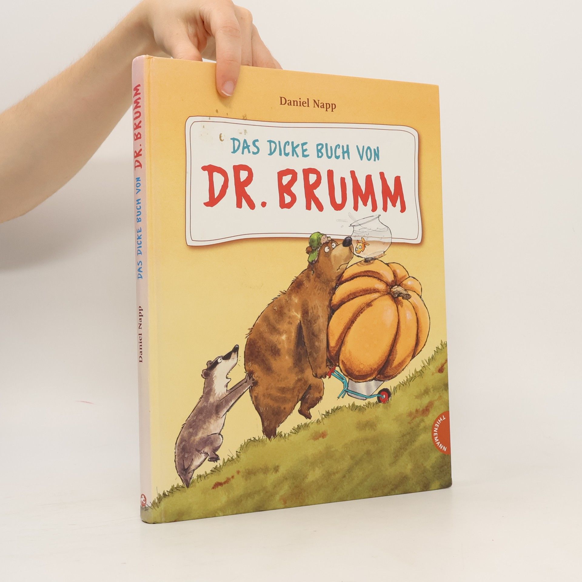 Daniel Napp Das dicke Buch von Dr. Brumm
