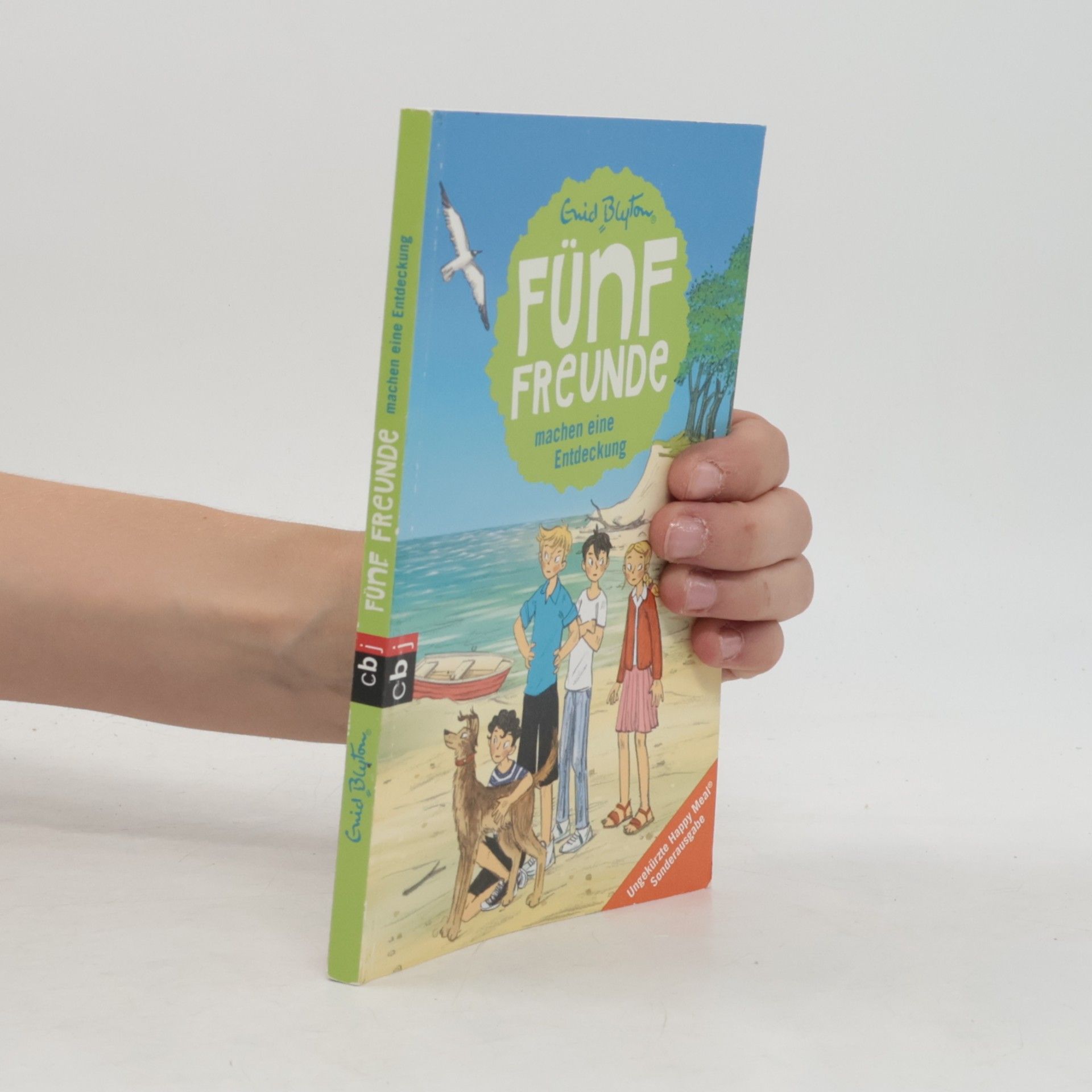 Enid Blyton Fünf Freunde machen eine Entdeckung