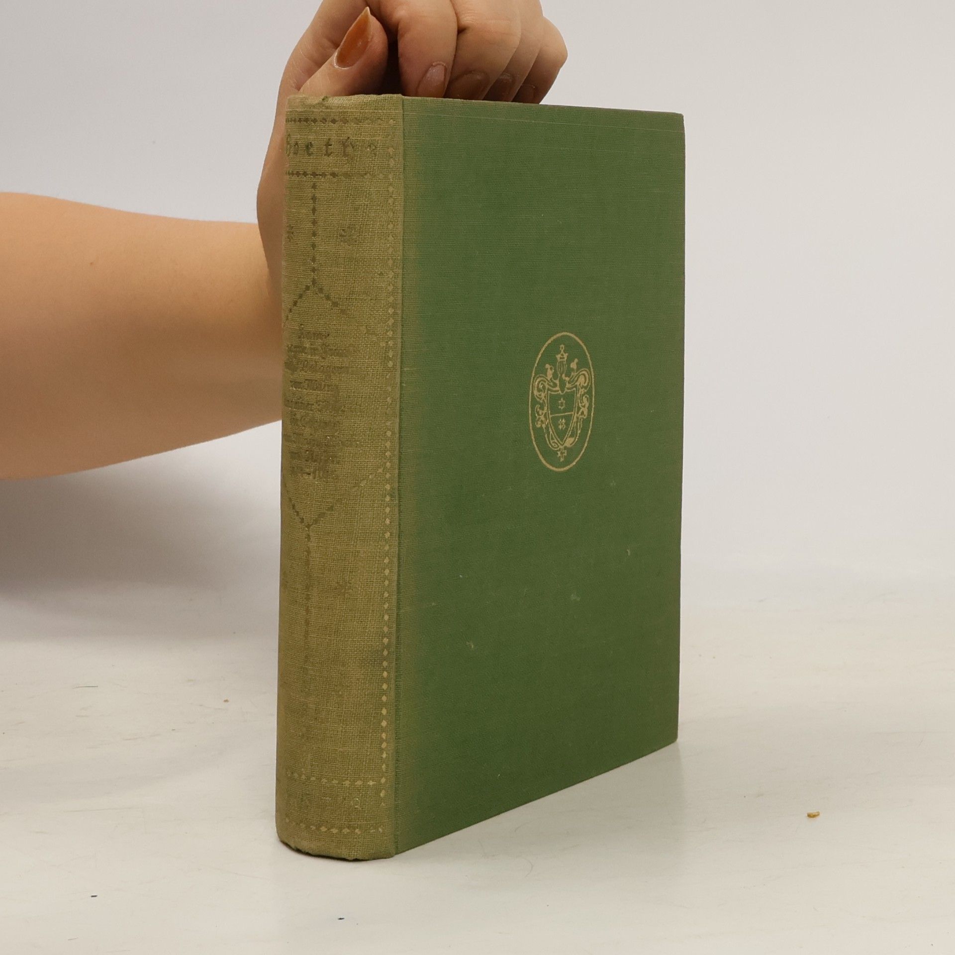Johann Wolfgang von Goethe Kampagne in Frankreich Belagerung von Mainz