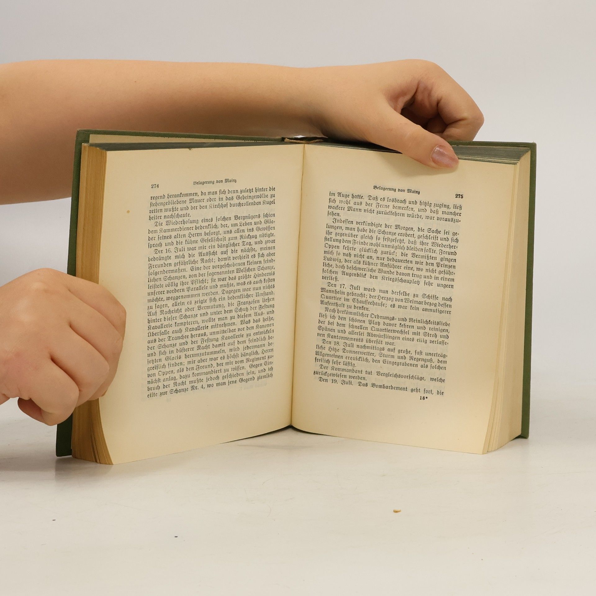Johann Wolfgang von Goethe Kampagne in Frankreich Belagerung von Mainz