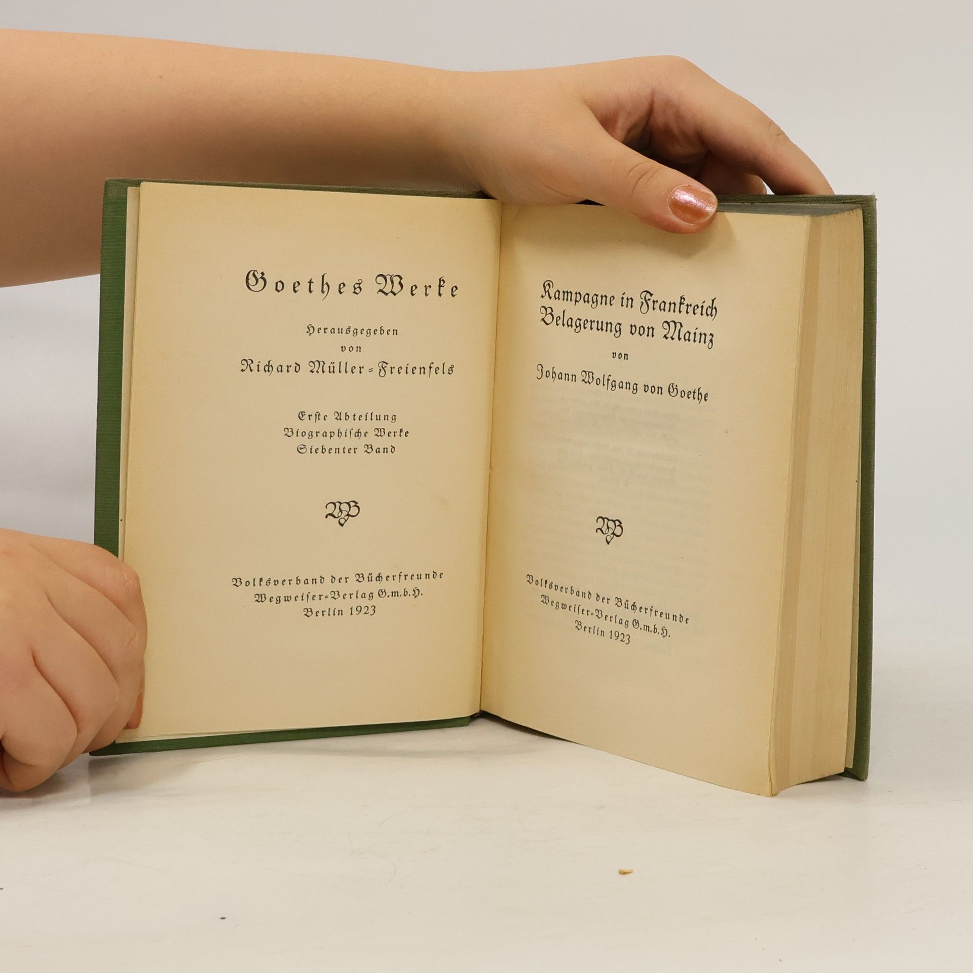 Johann Wolfgang von Goethe Kampagne in Frankreich Belagerung von Mainz