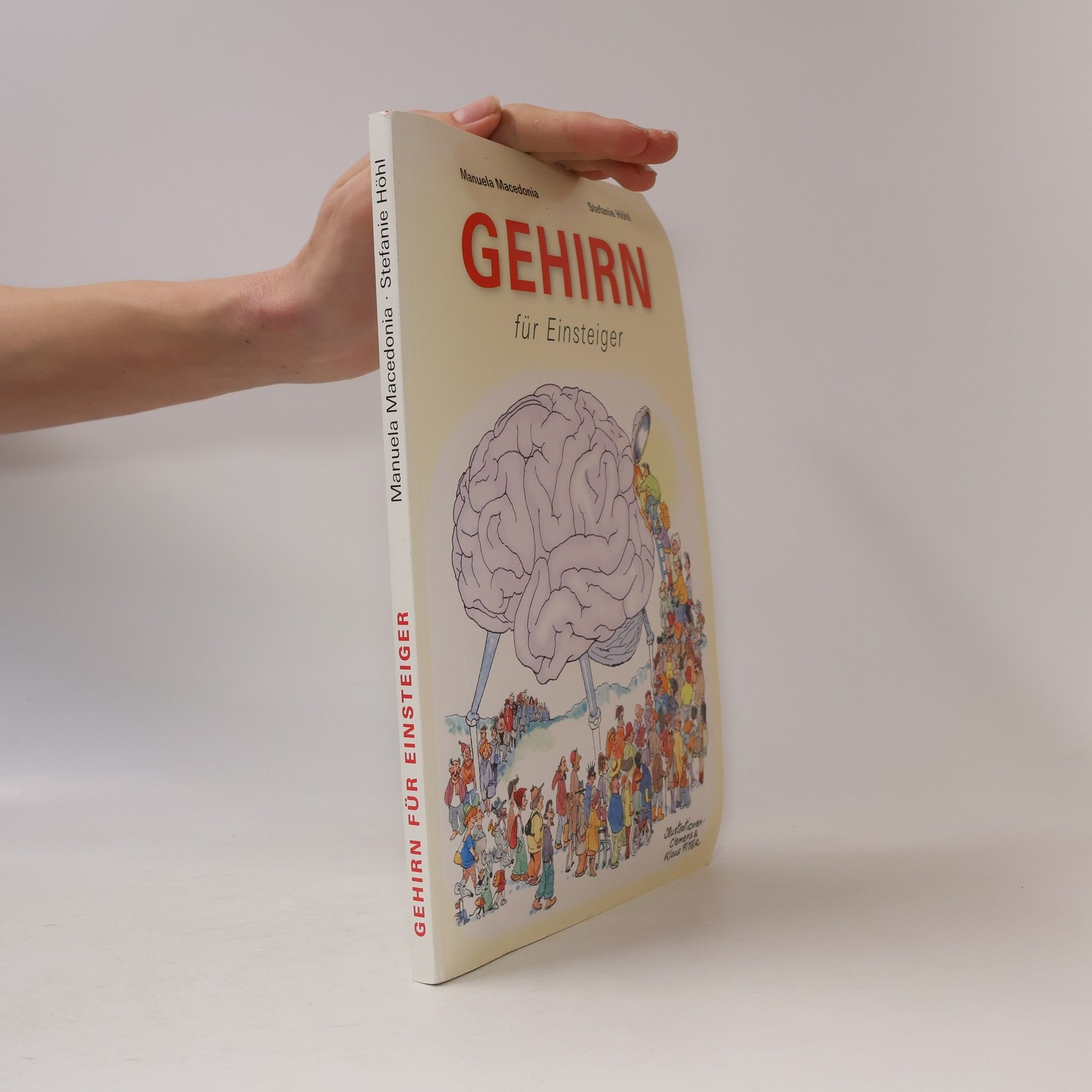 Gehirn für Einsteiger