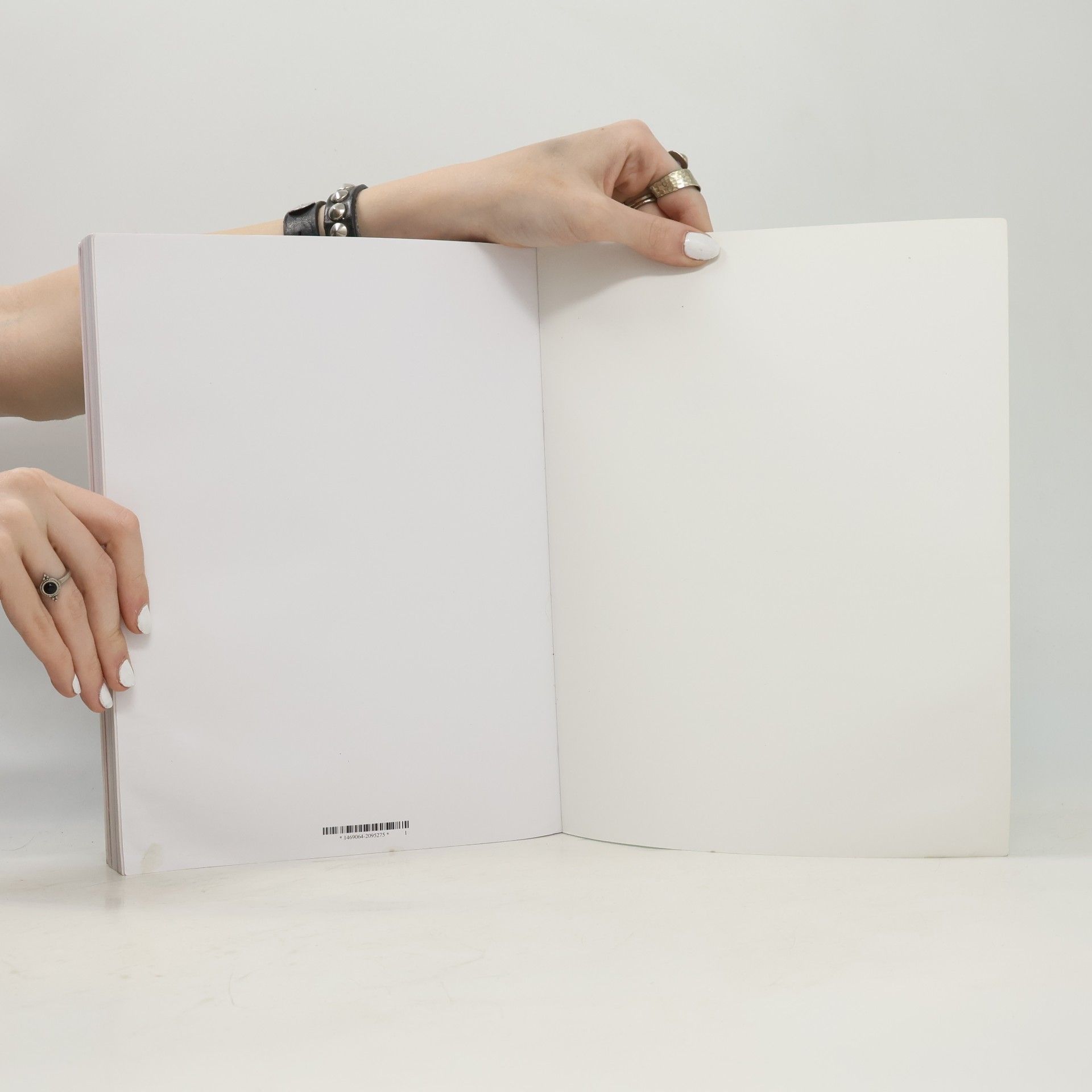 Collectif d'auteurs RAISING A DOG