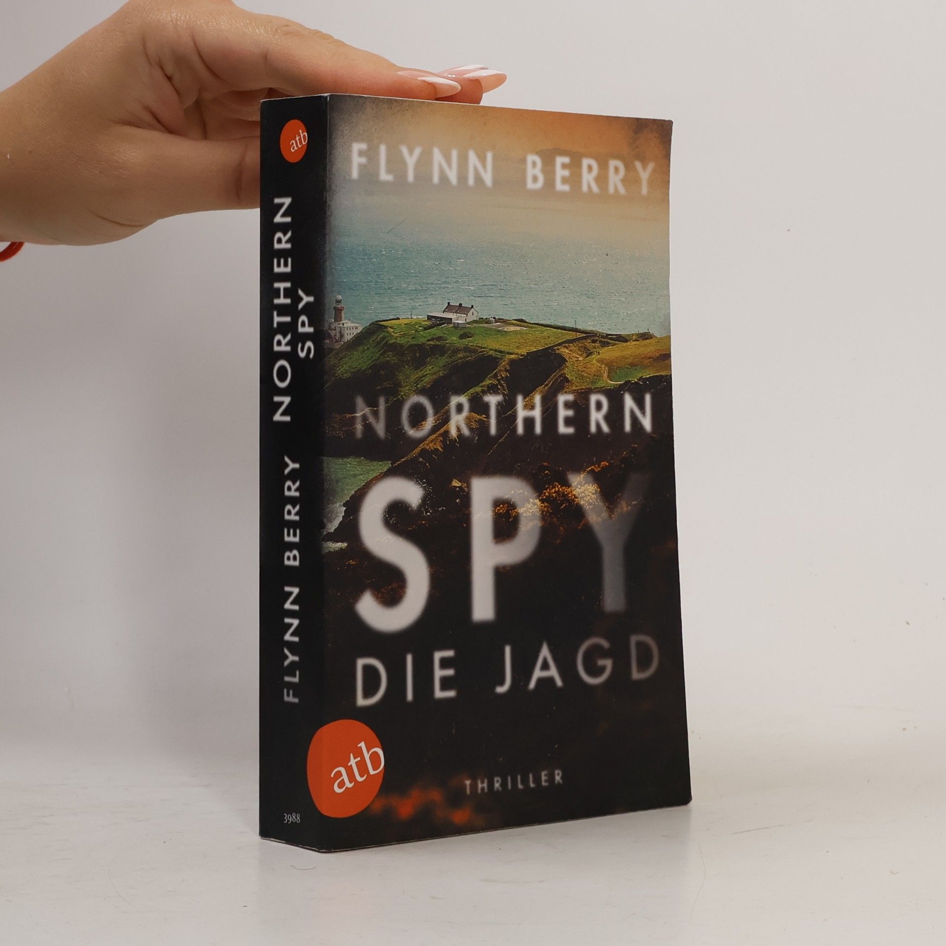 Flynn Berry Northern spy - die Jagd
